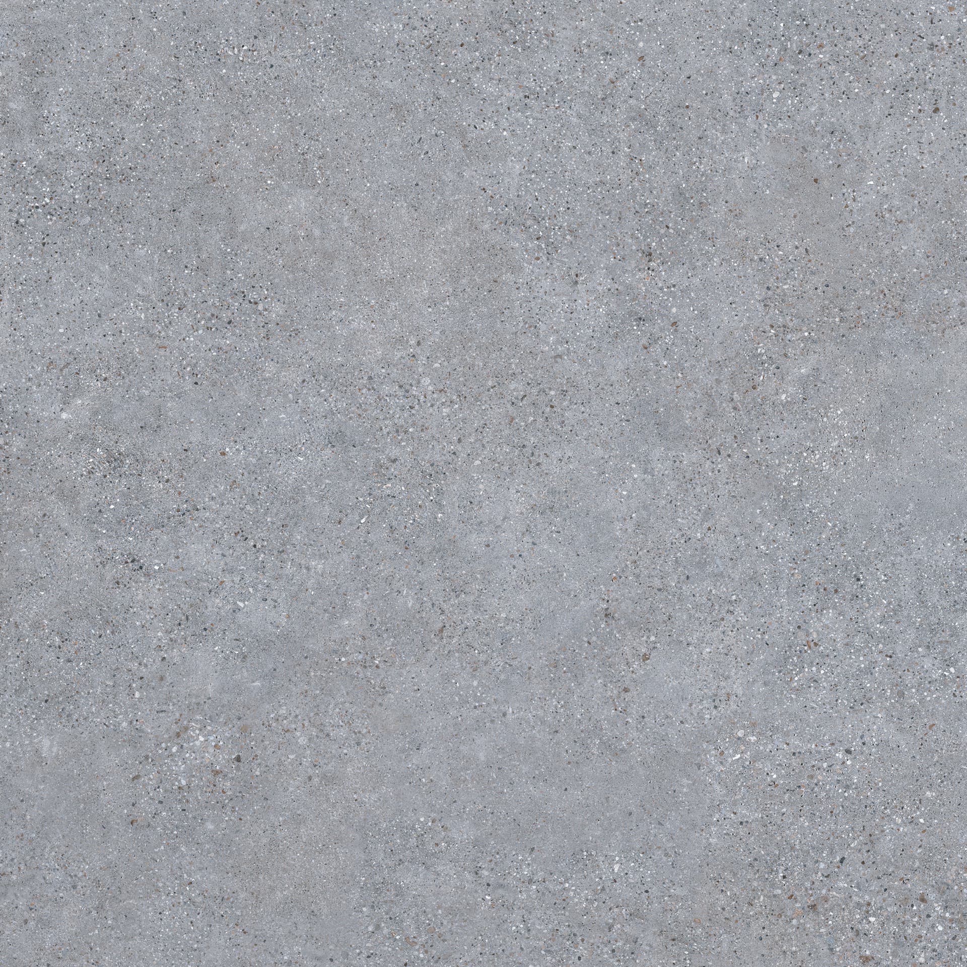 Cityzen Gris