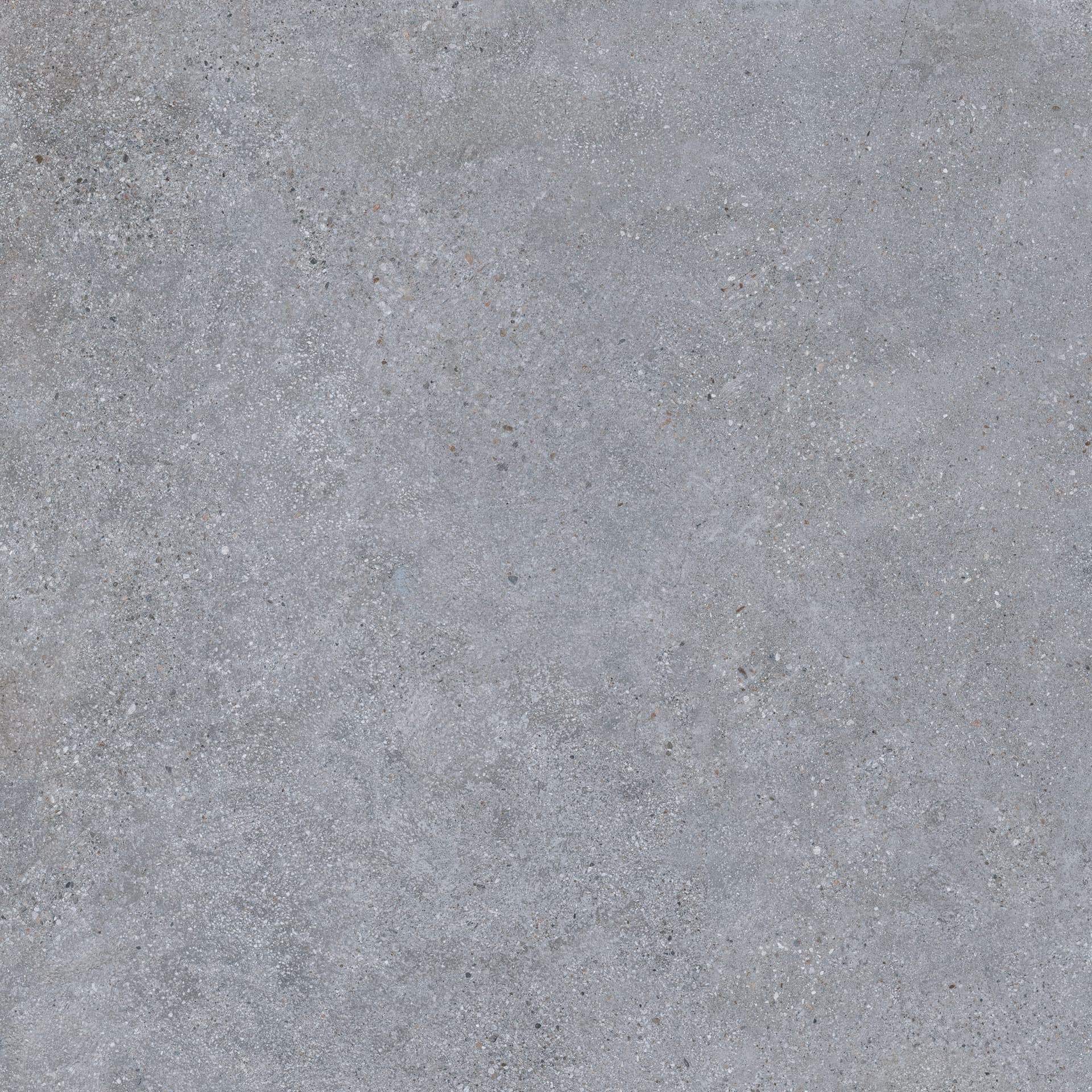 Cityzen Gris