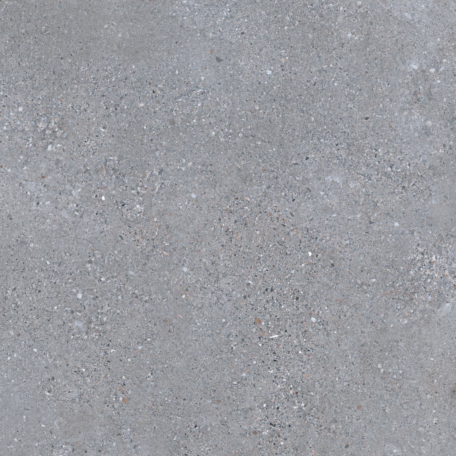 Cityzen Gris