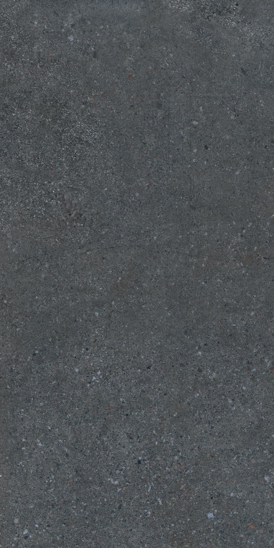 Cityzen Carbon