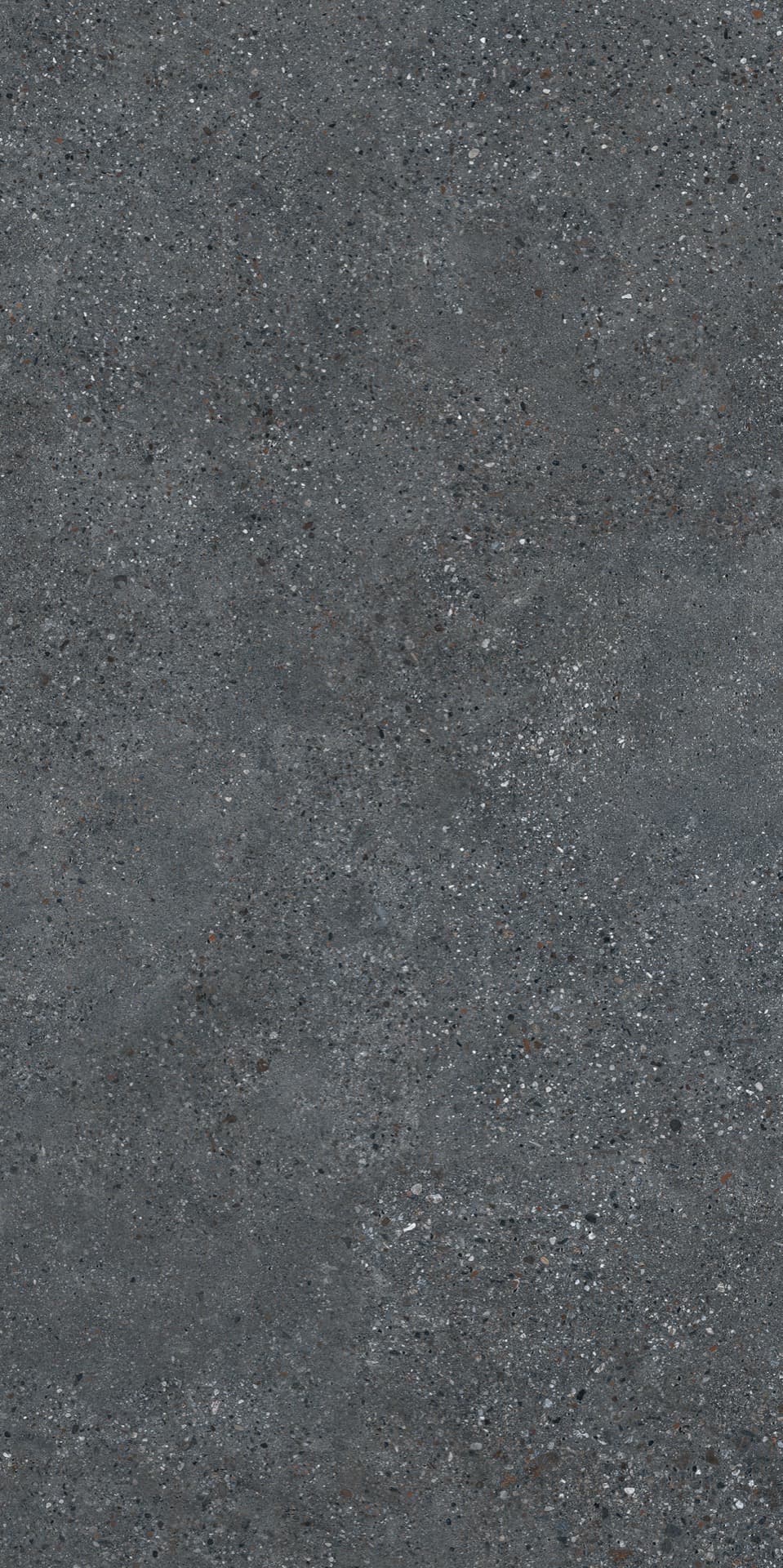 Cityzen Carbon