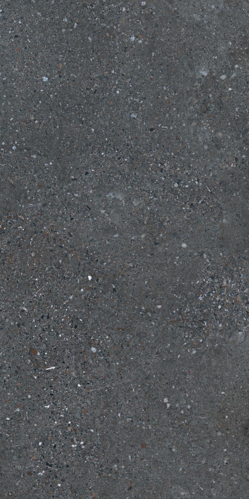 Cityzen Carbon