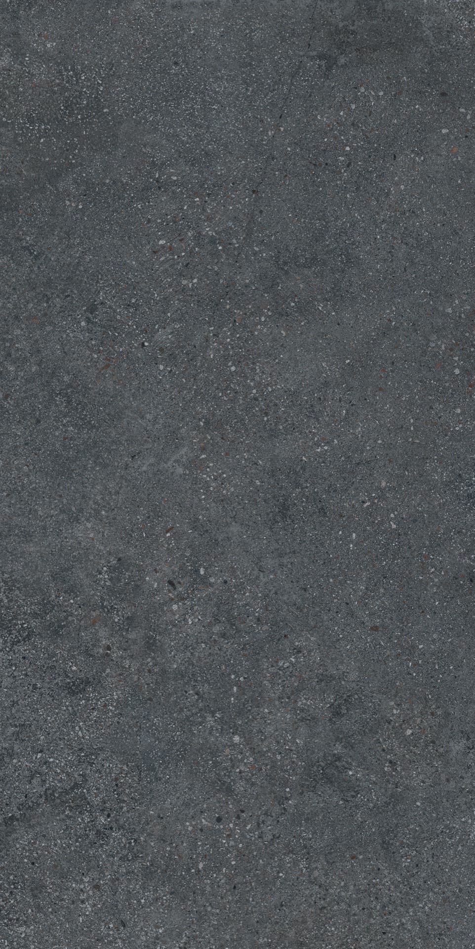 Cityzen Carbon