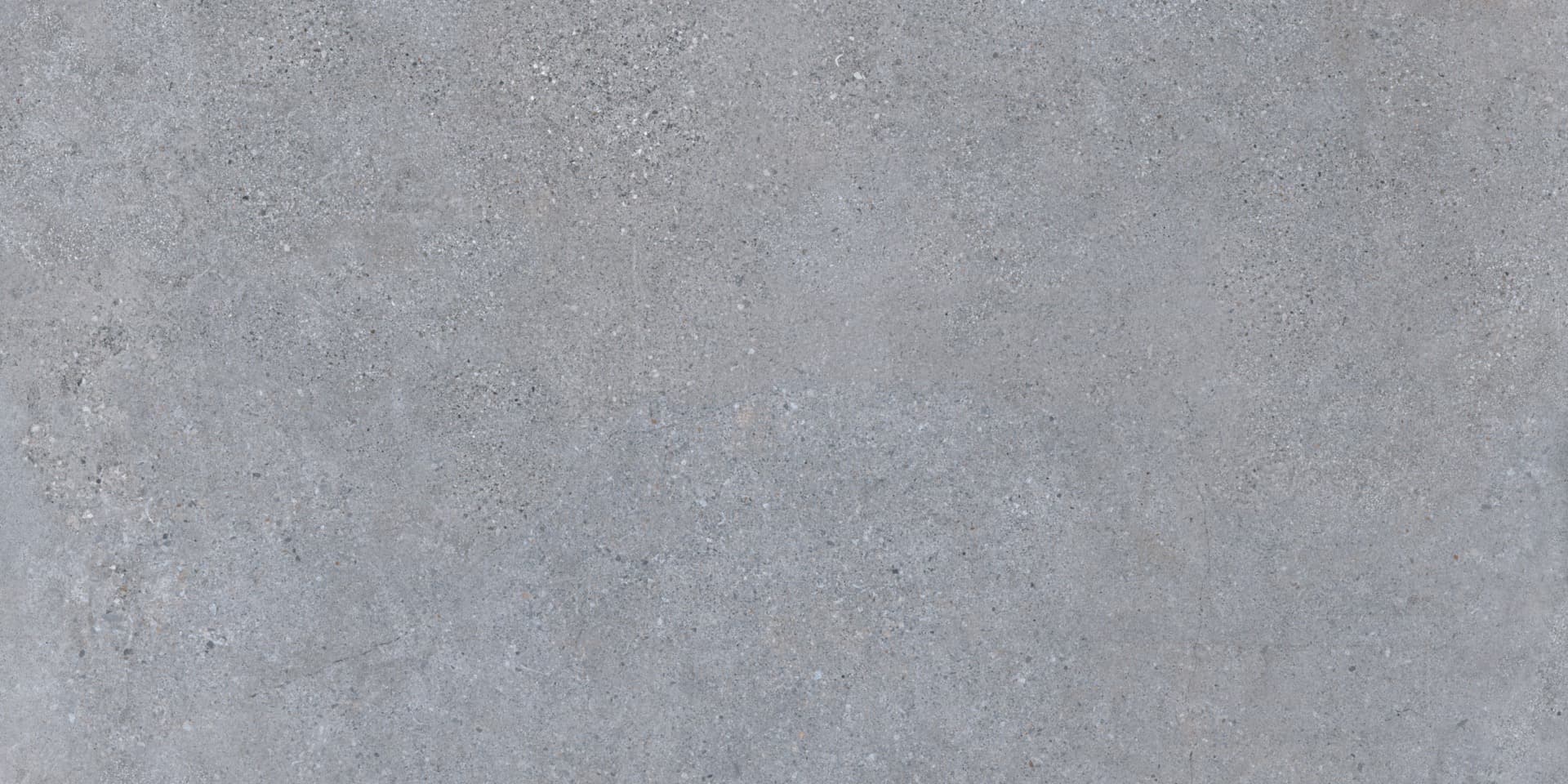 Cityzen Gris