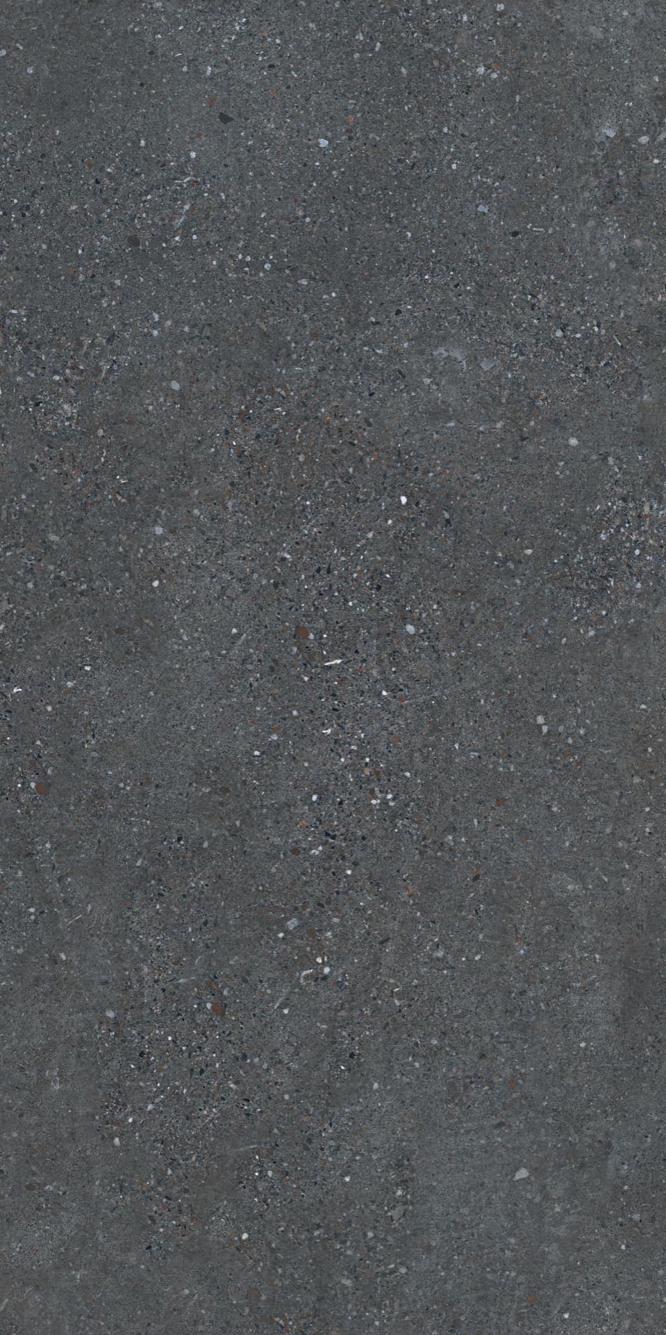 Cityzen Carbon