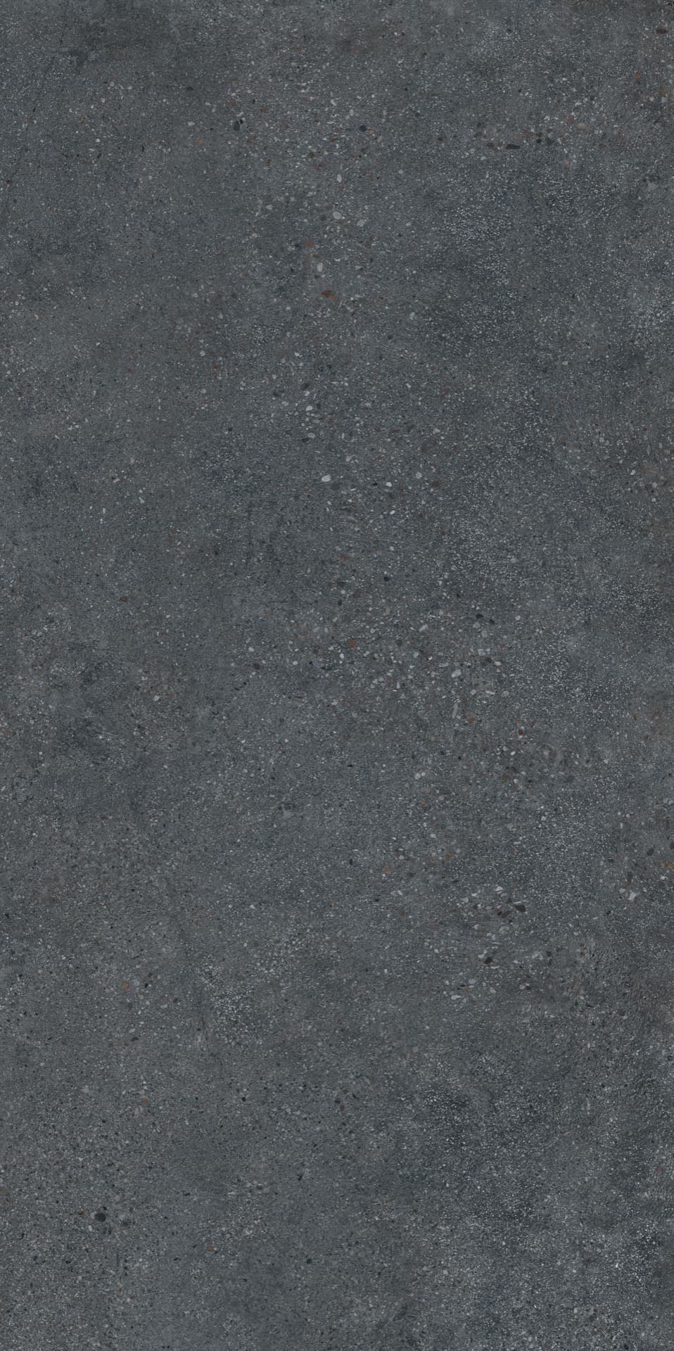 Cityzen Carbon