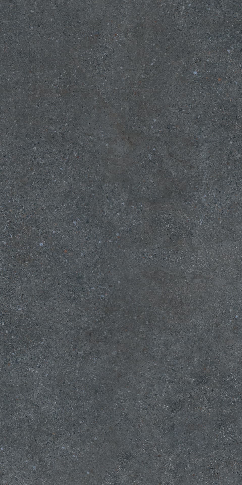 Cityzen Carbon