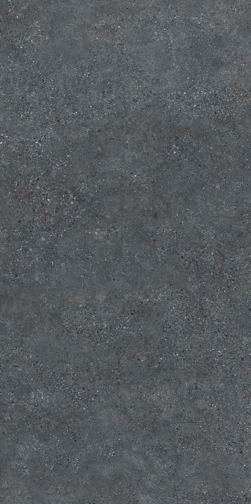 Cityzen Carbon