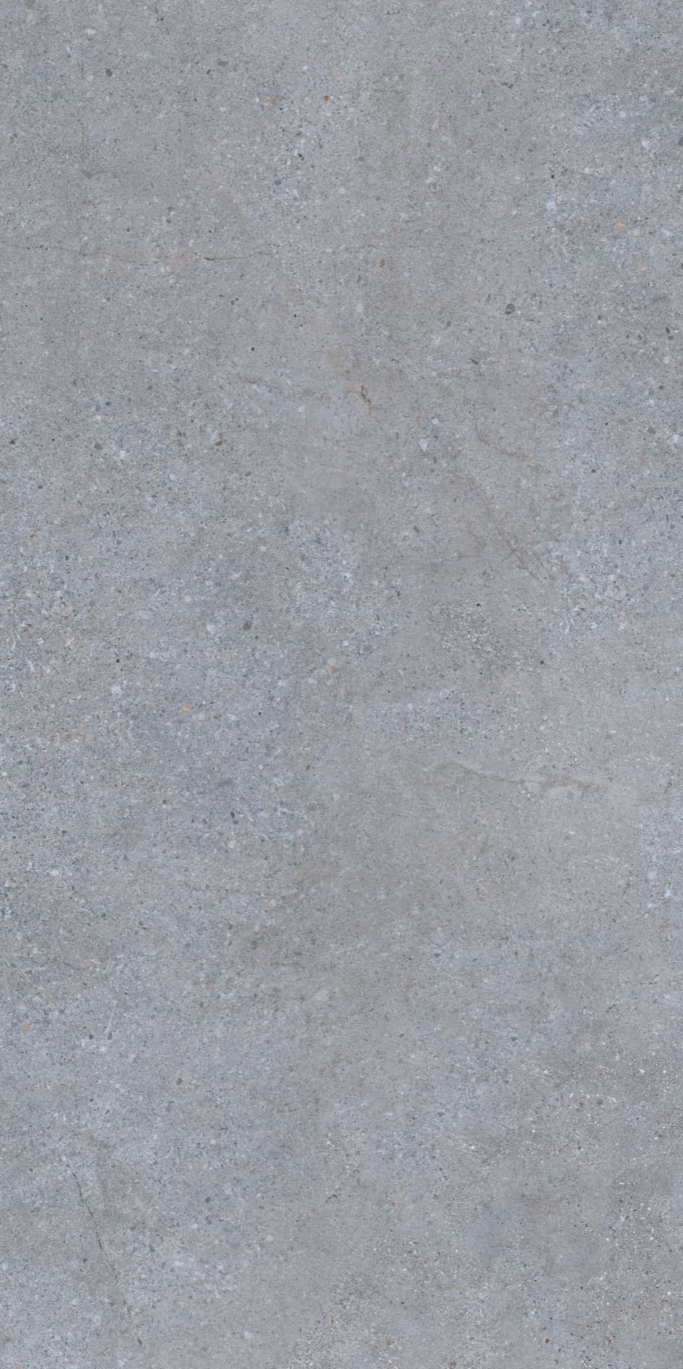 Cityzen Gris