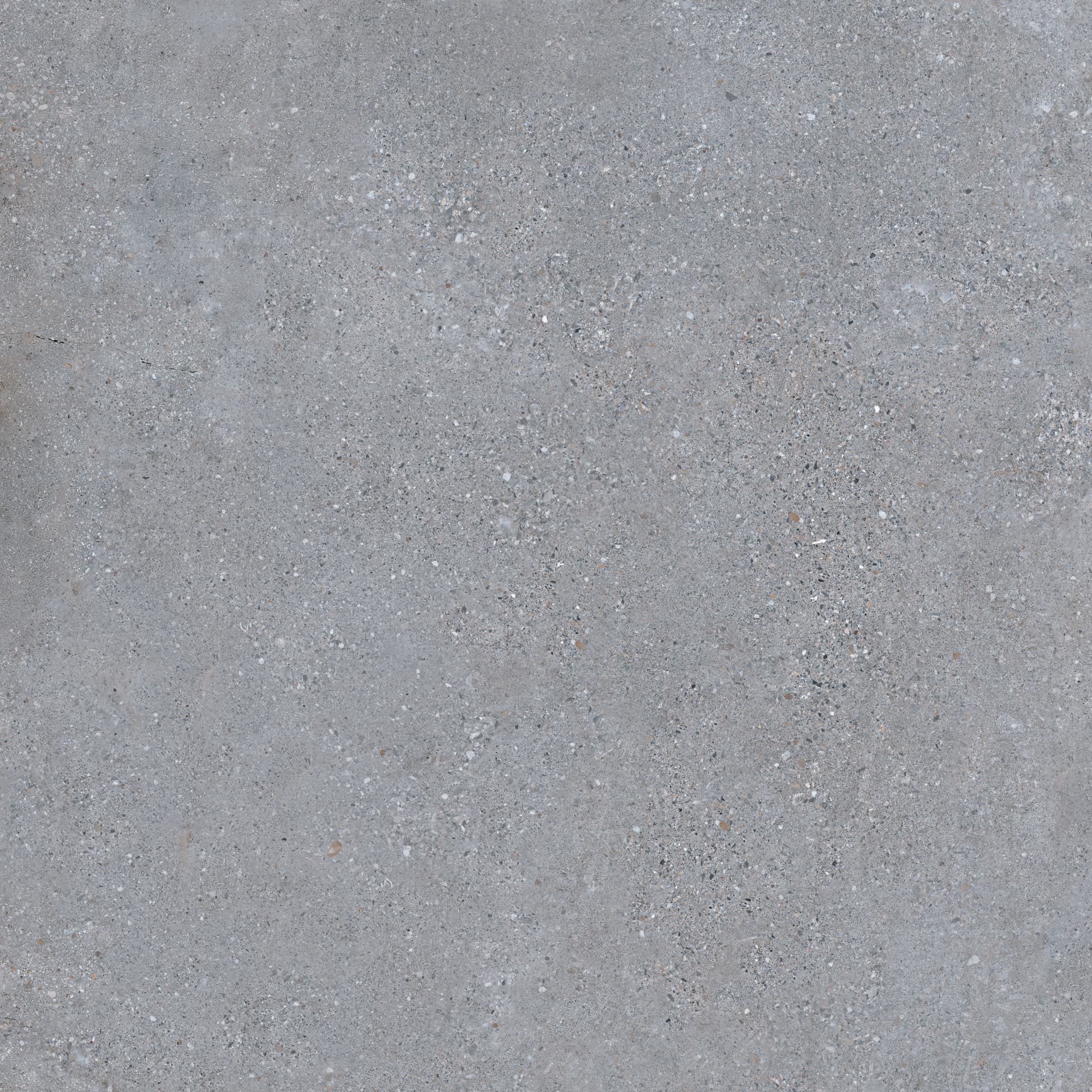 Cityzen Gris