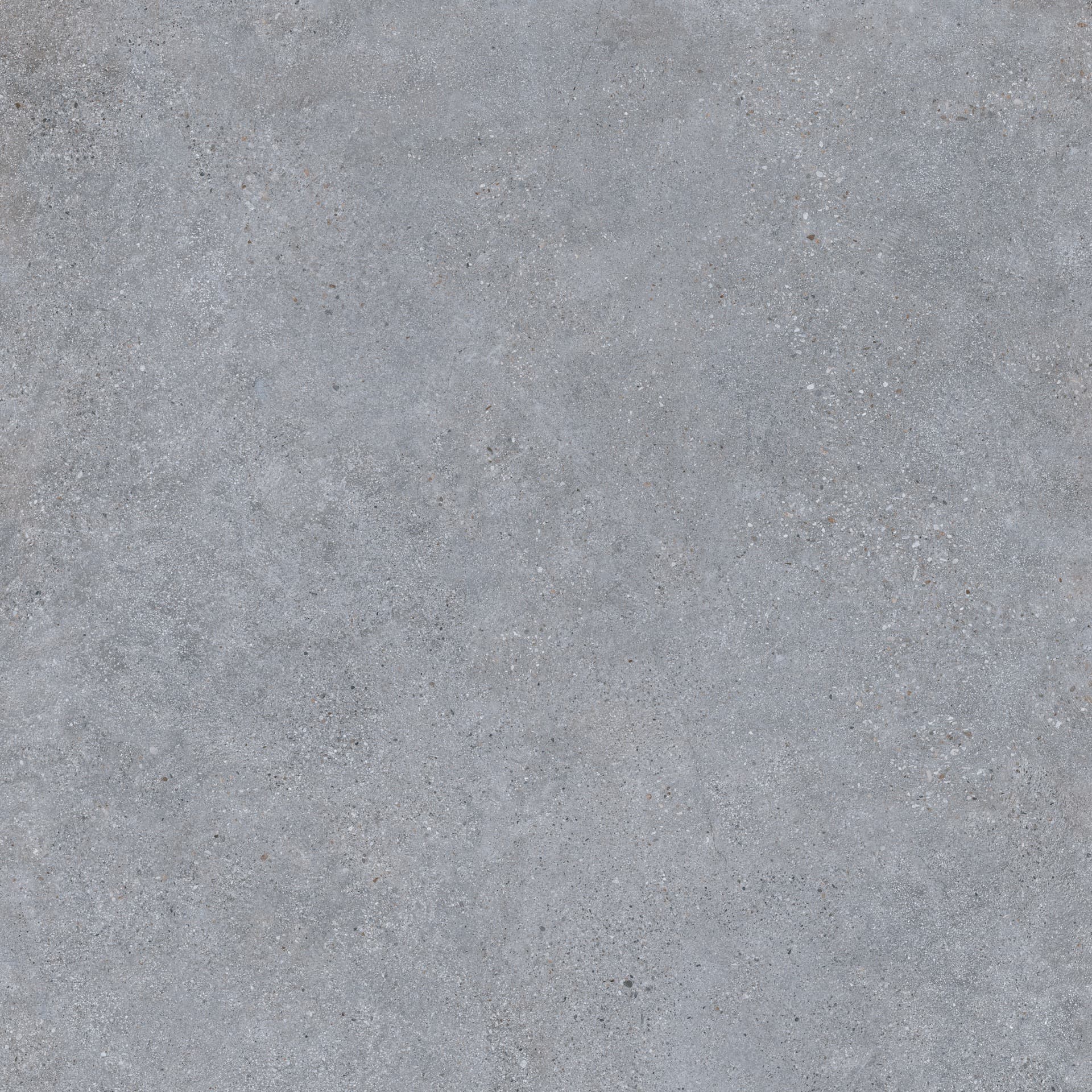 Cityzen Gris