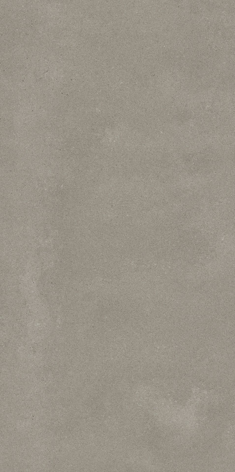 Omni Iron