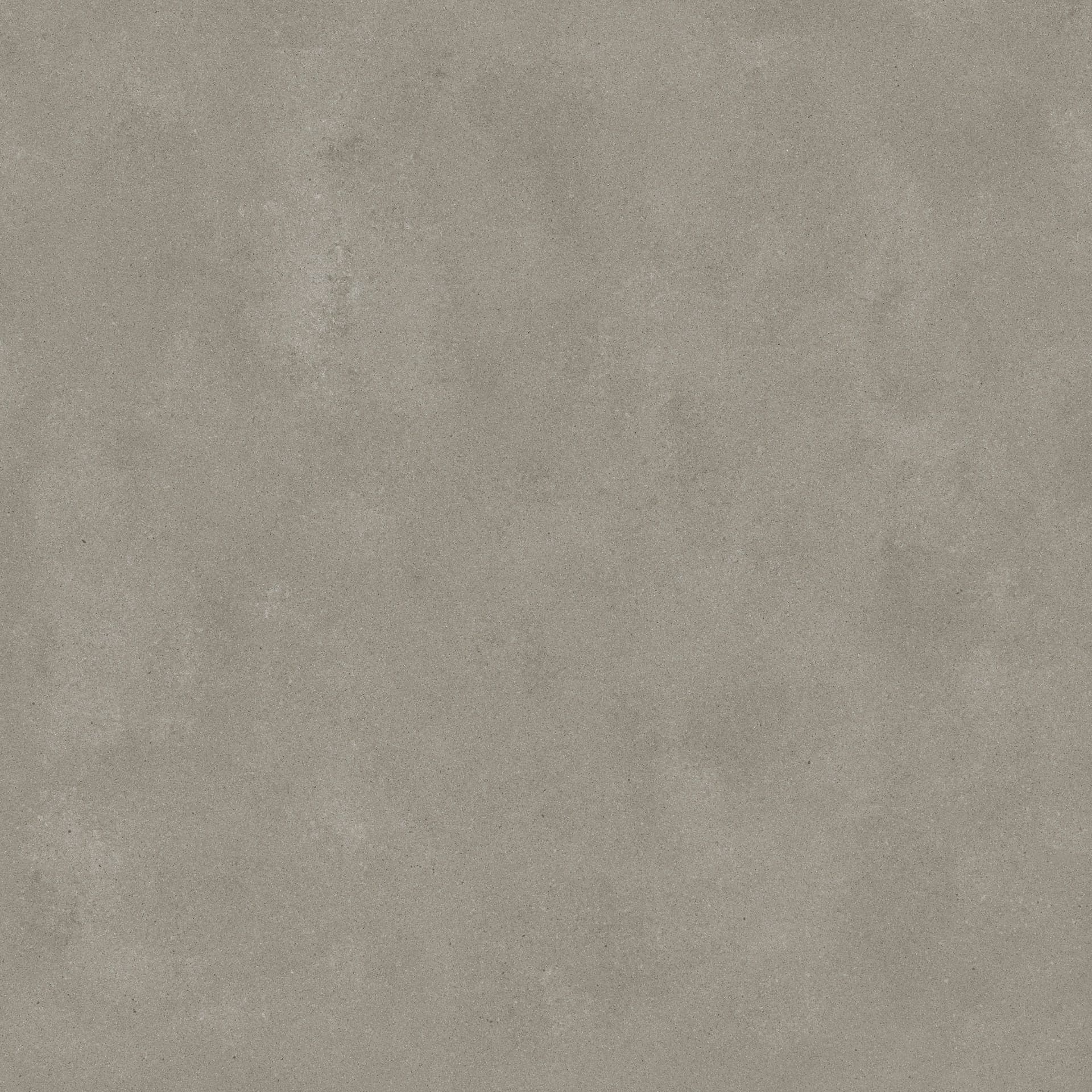 Omni Iron