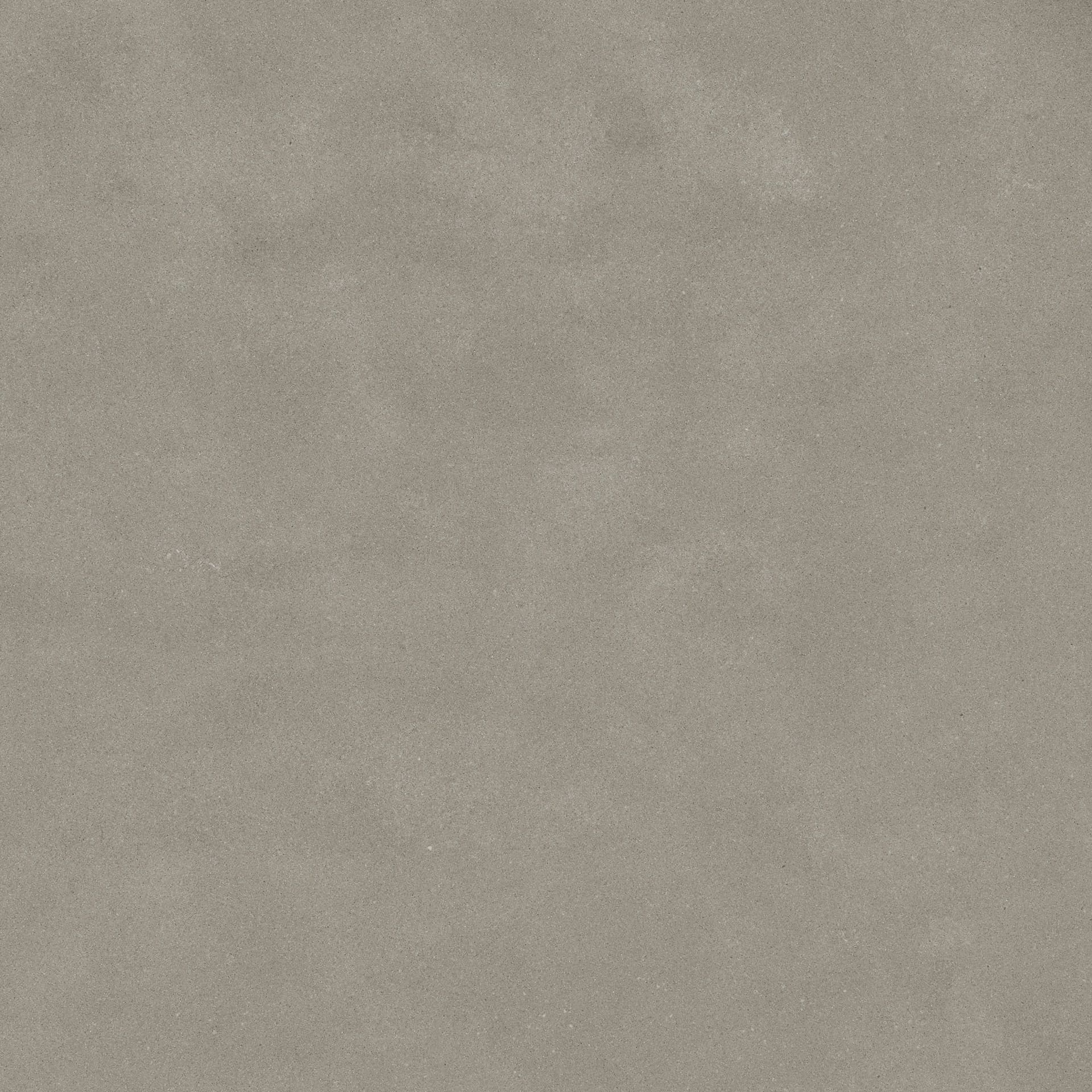 Omni Iron