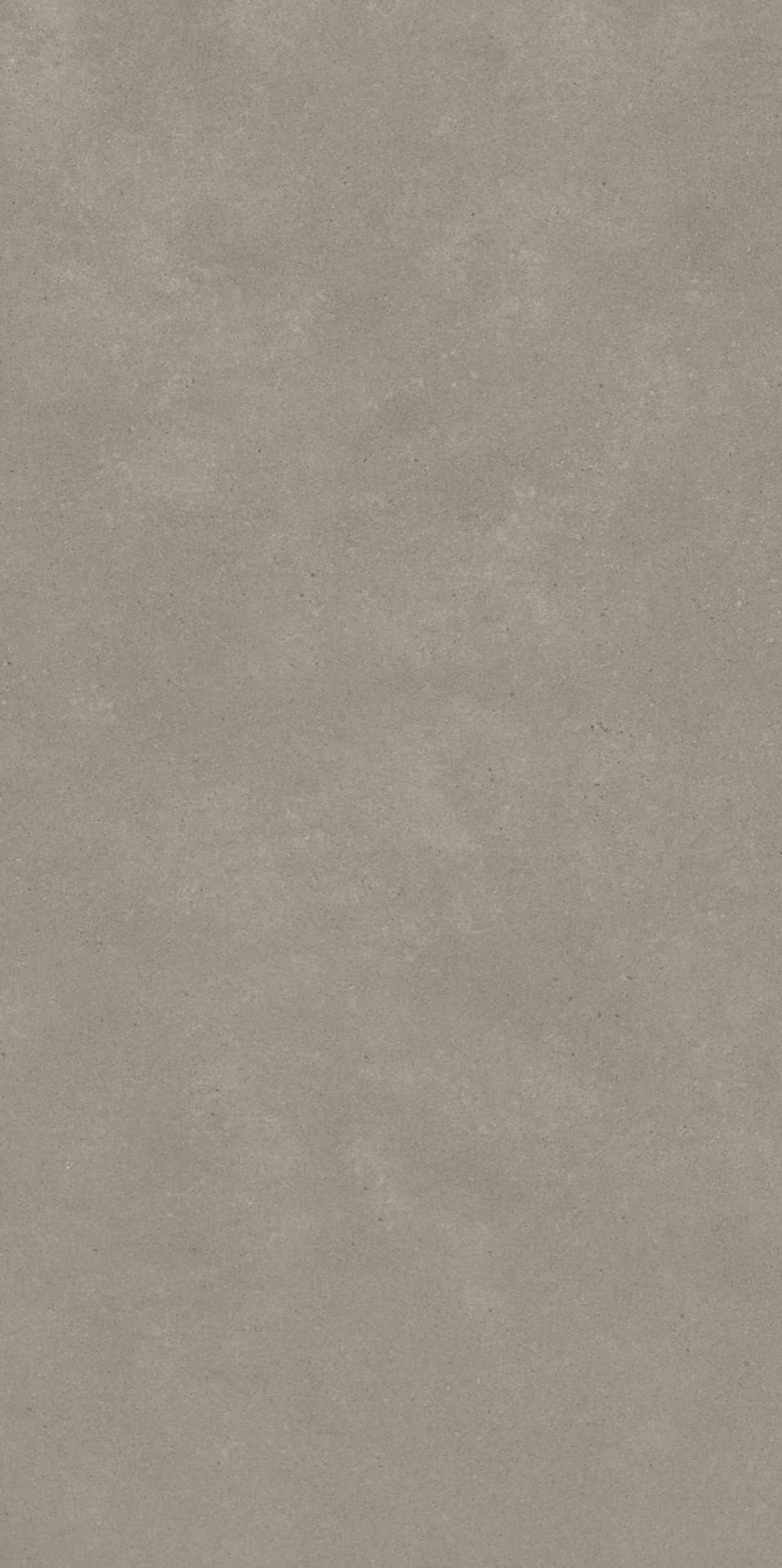 Omni Iron