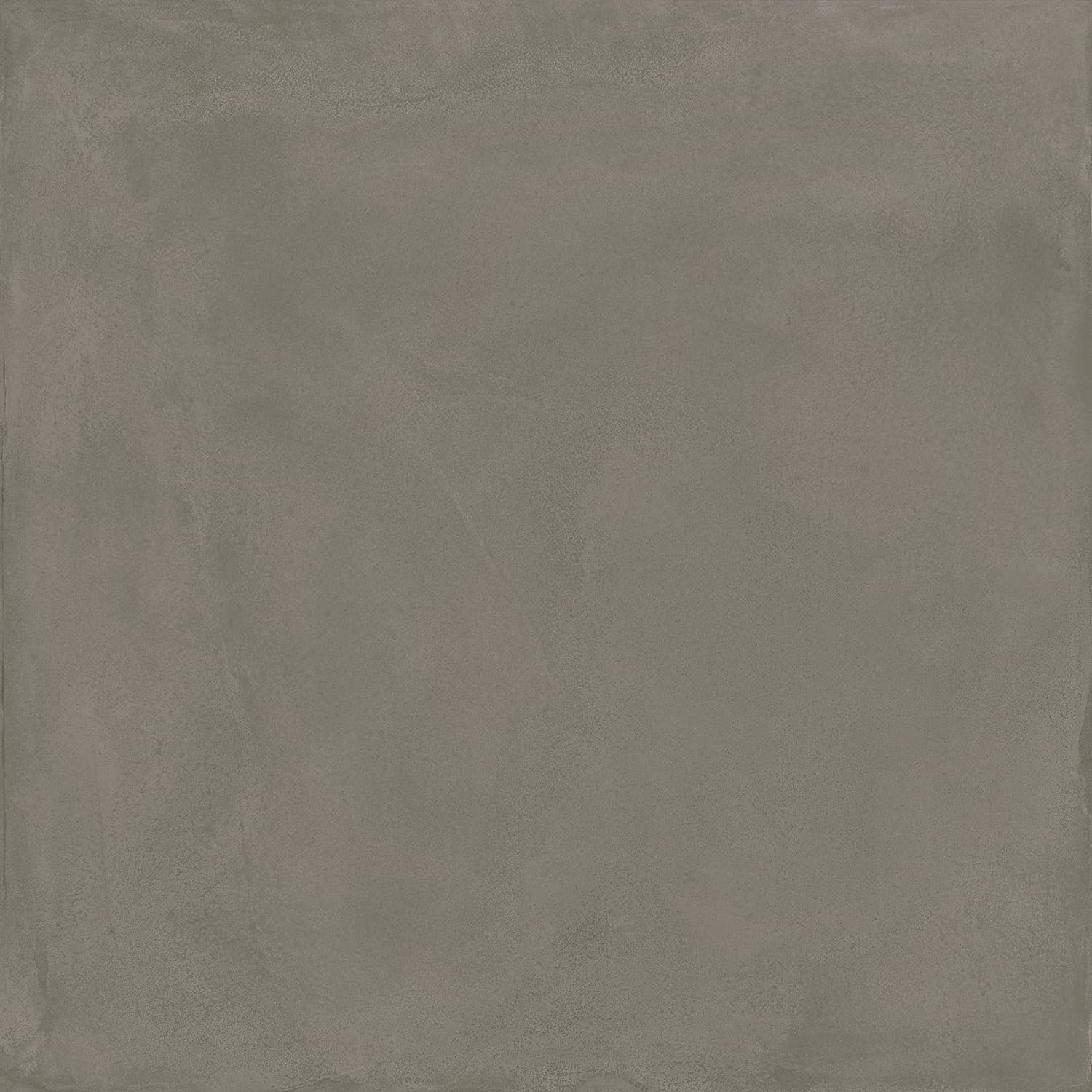 Locus Gris