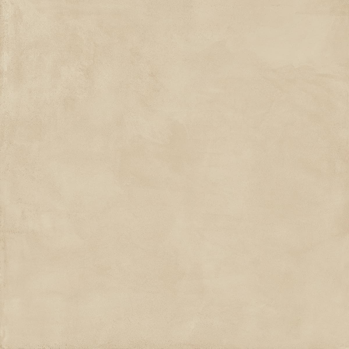 Locus Bone