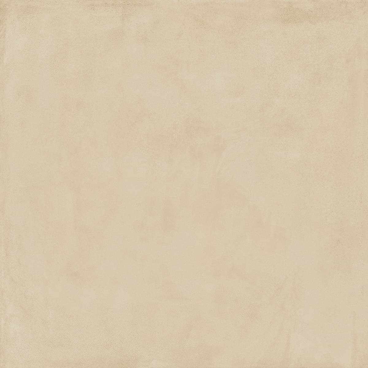 Locus Bone