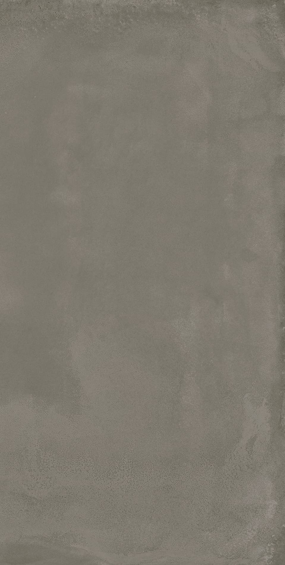 Locus Gris