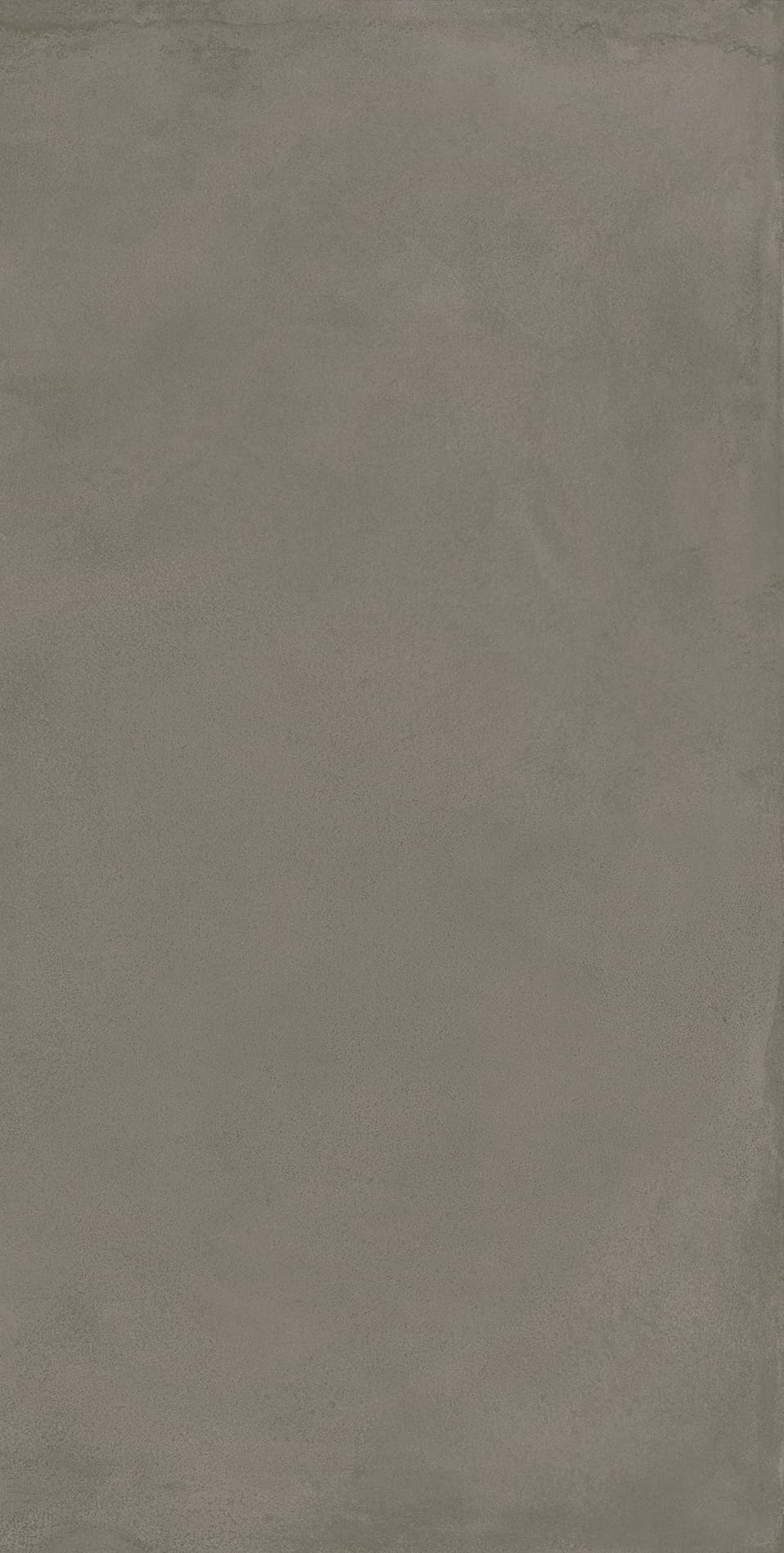 Locus Gris