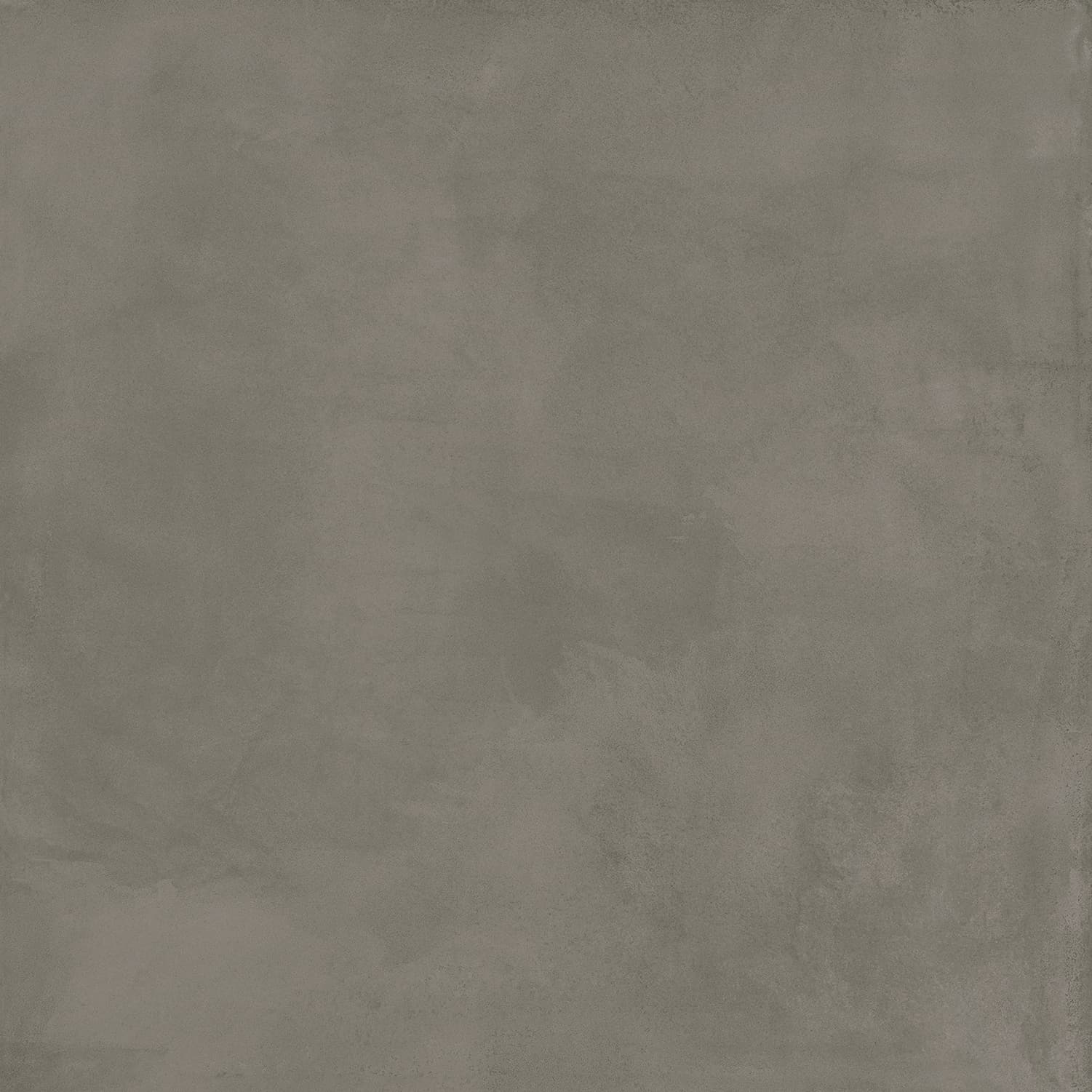 Locus Gris