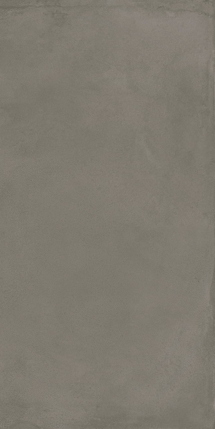 Locus Gris