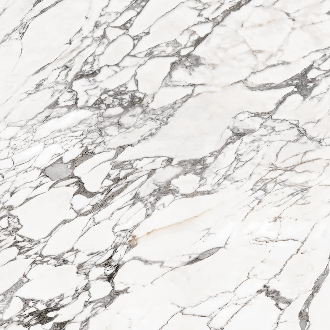 Calacatta Classic