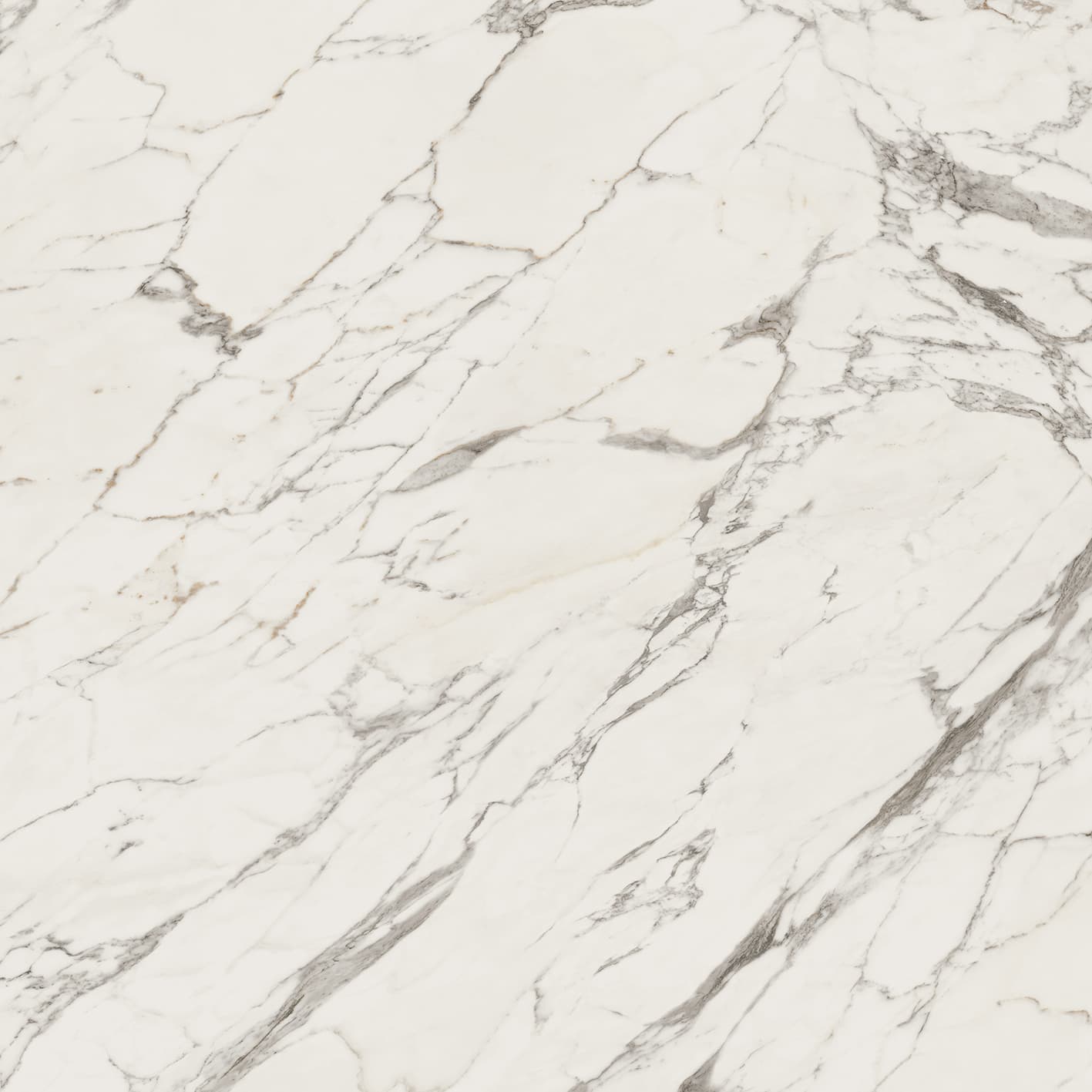 Calacatta Classic