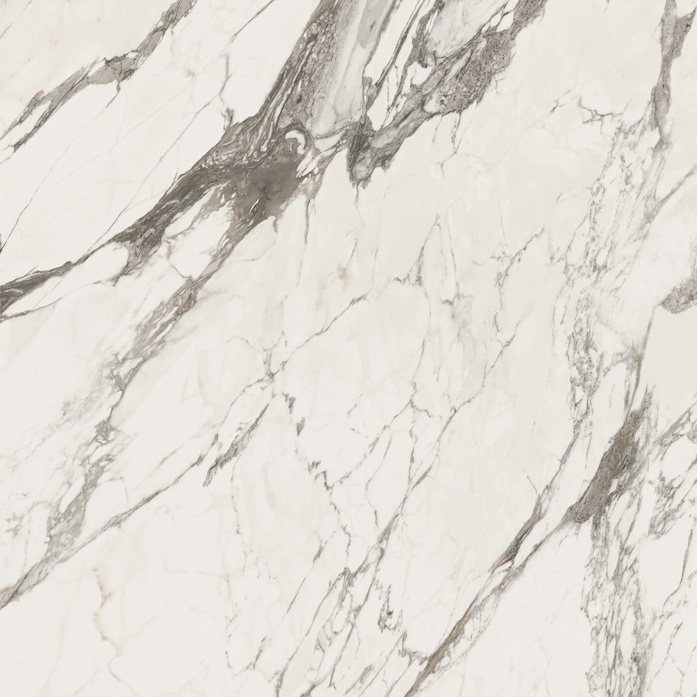 Calacatta Classic
