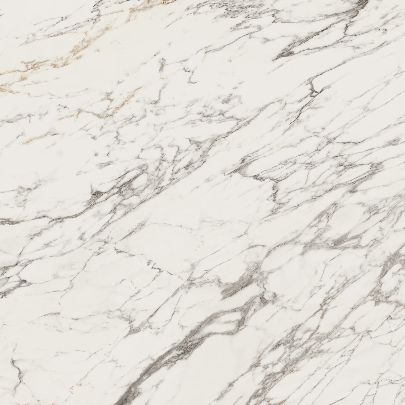 Calacatta Classic