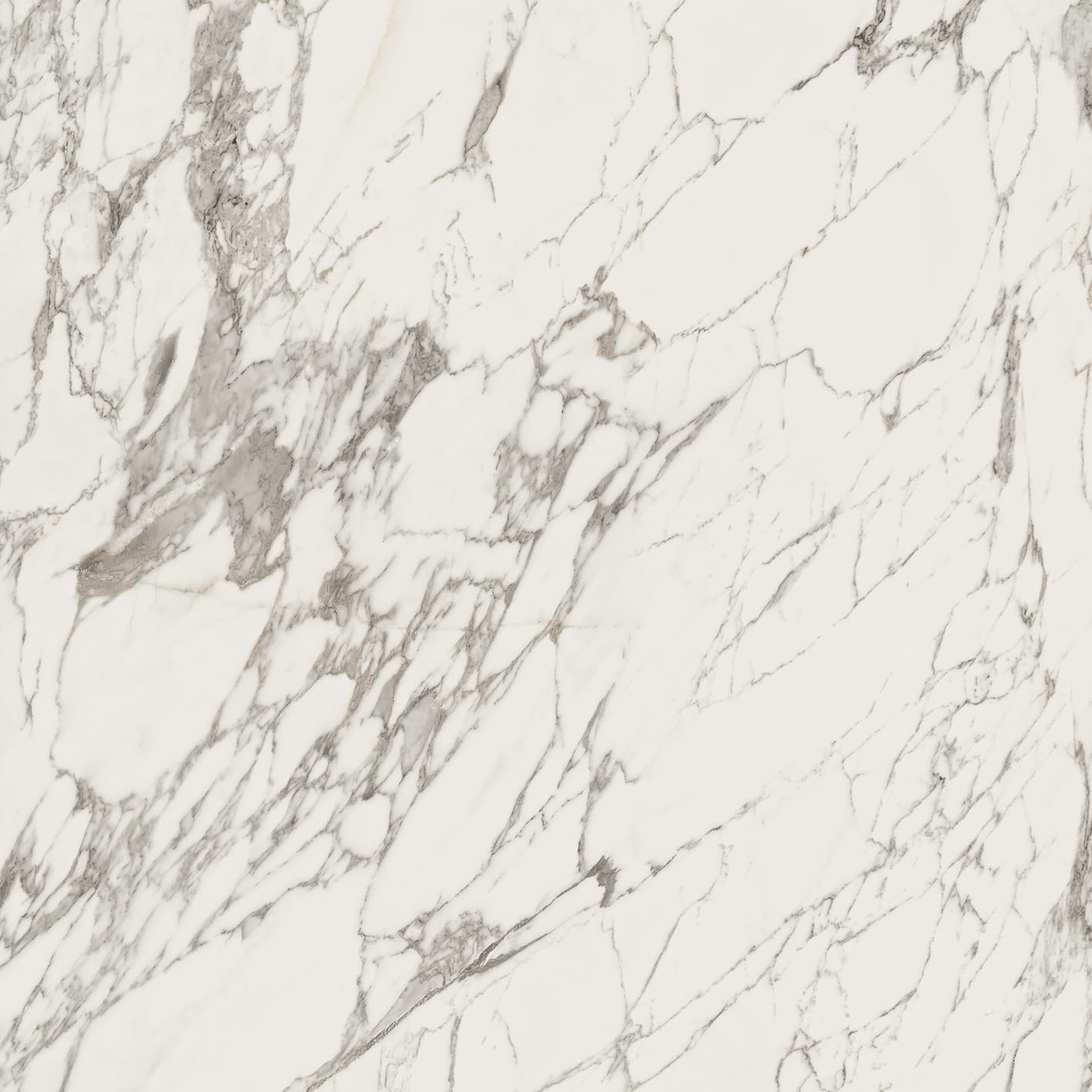 Calacatta Classic