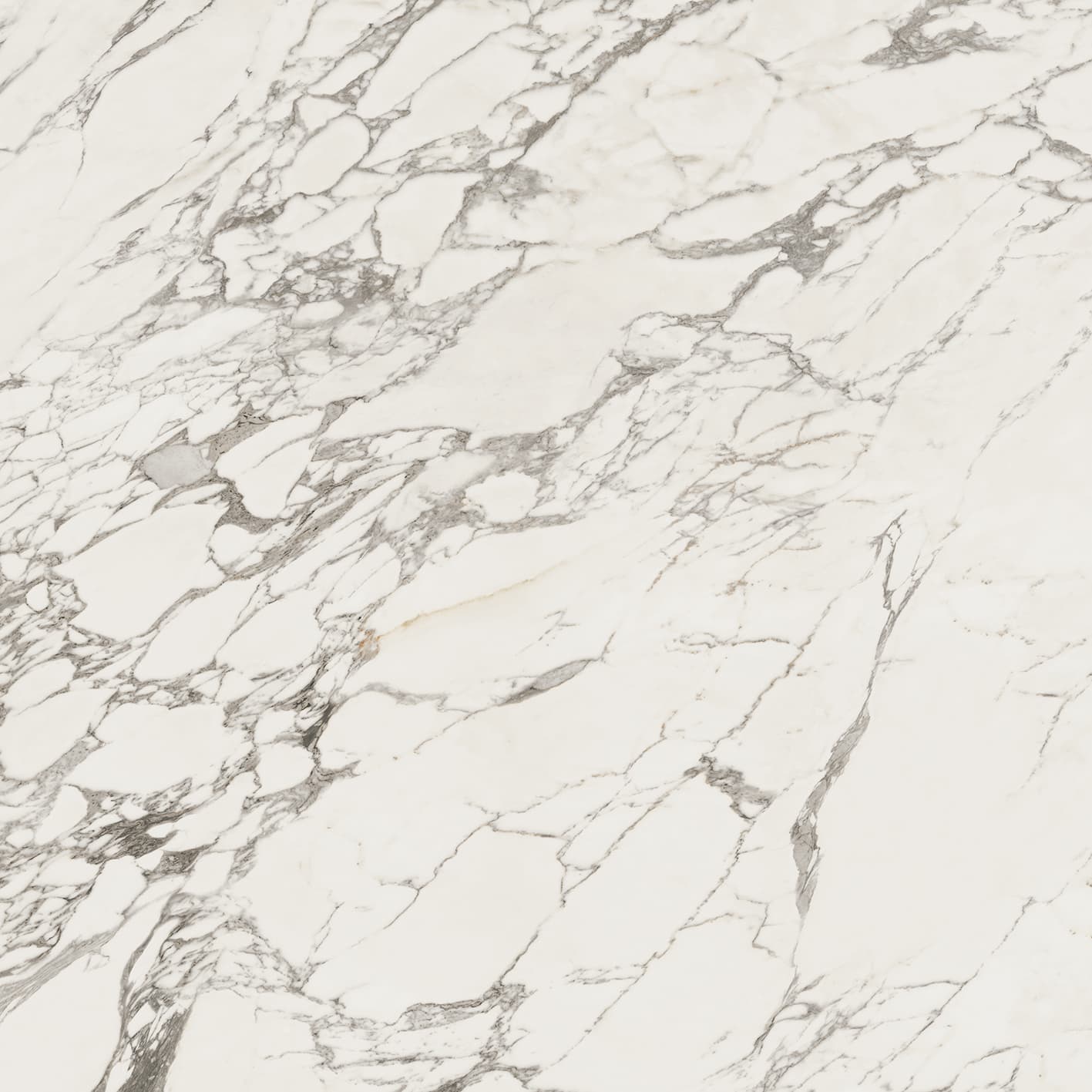 Calacatta Classic