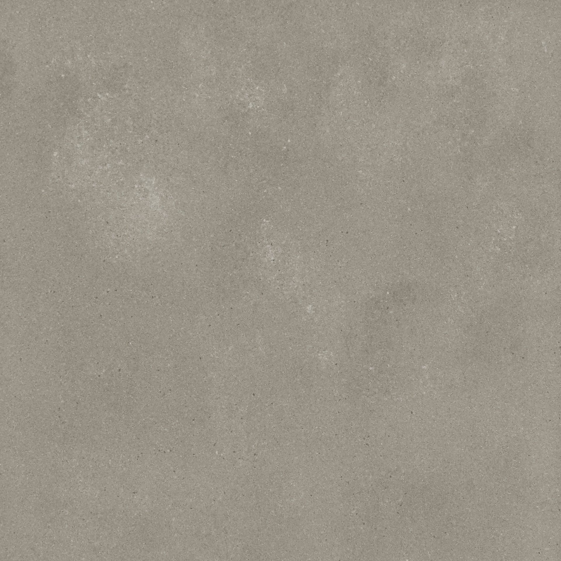 Omni Iron
