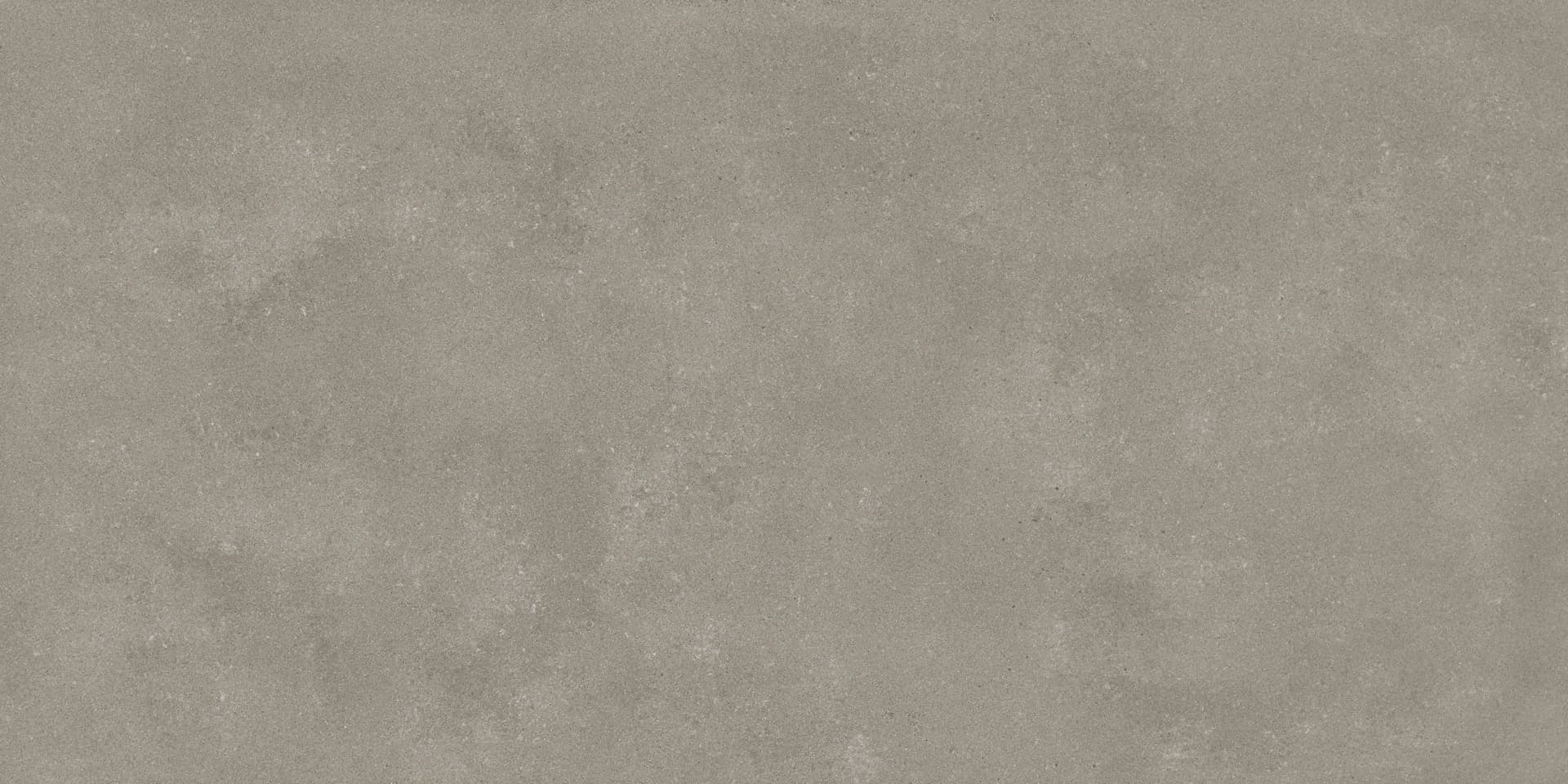 Omni Iron