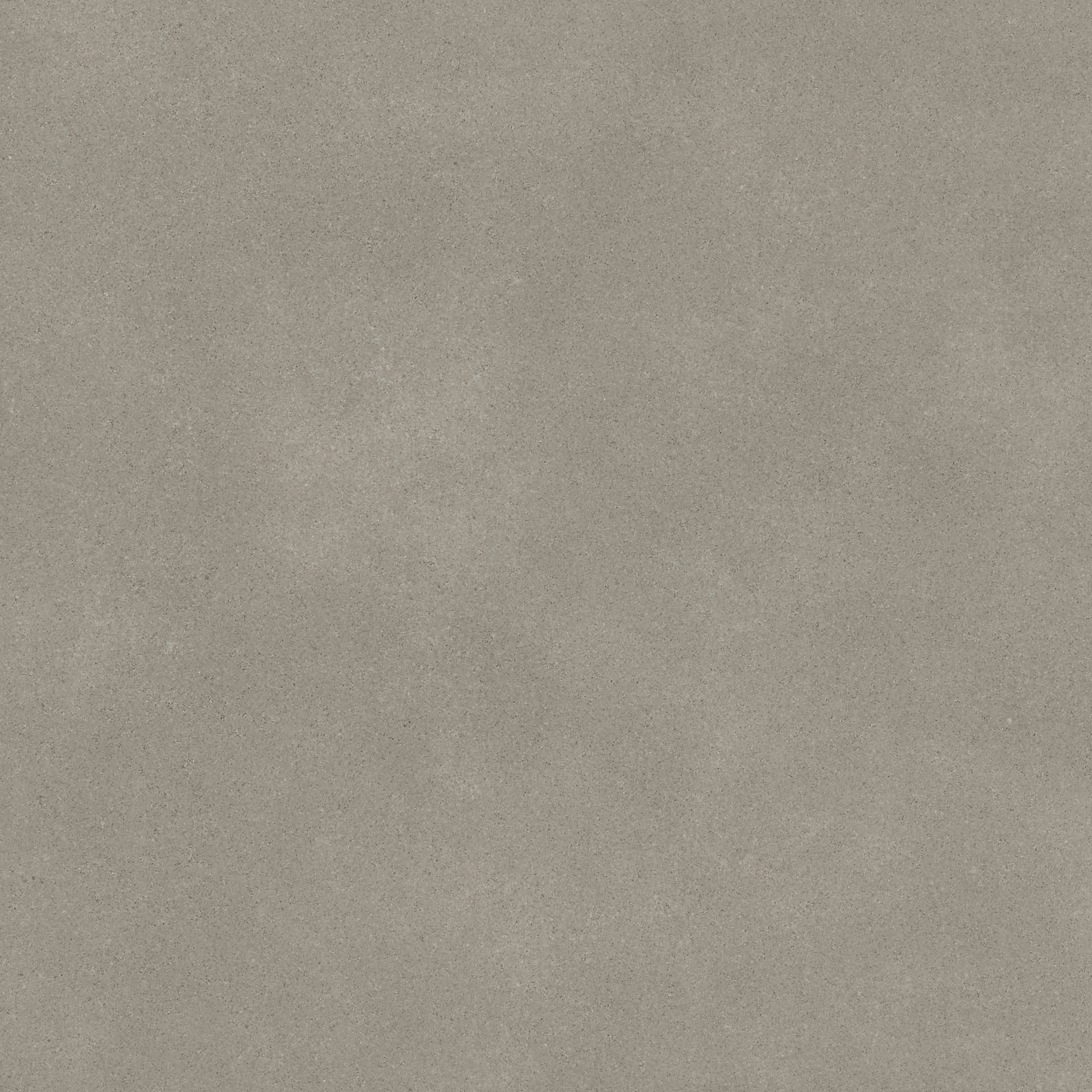 Omni Iron