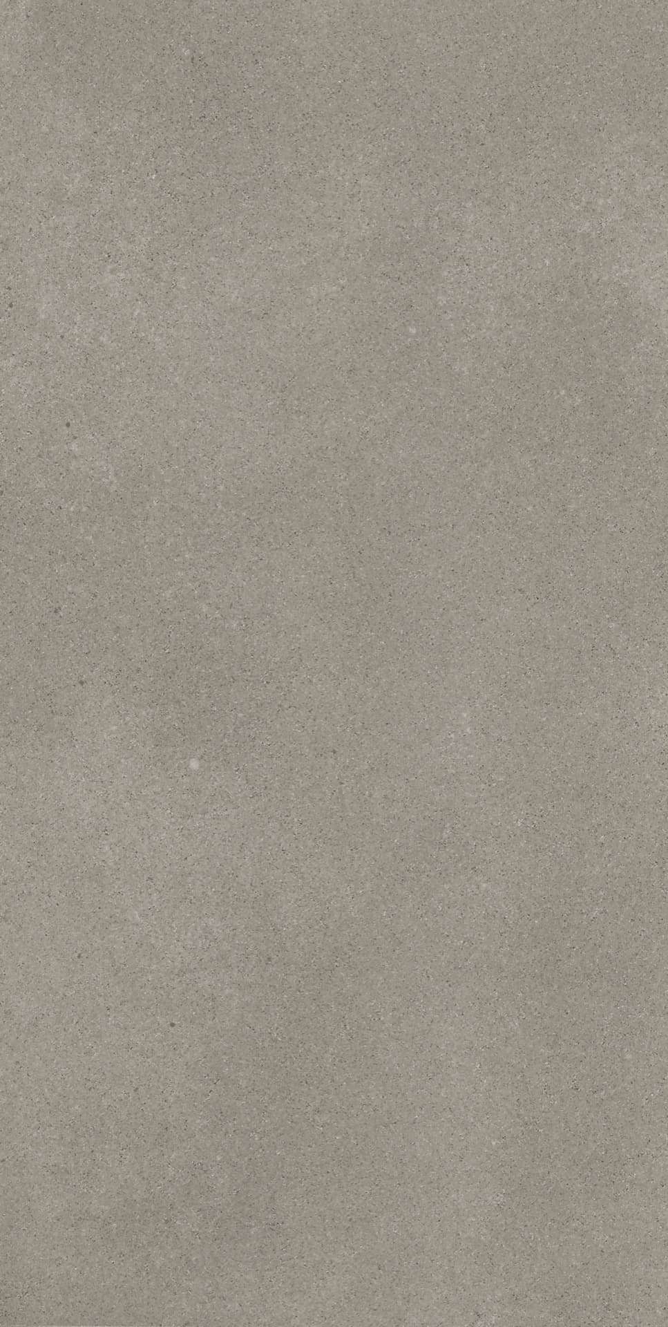 Omni Iron