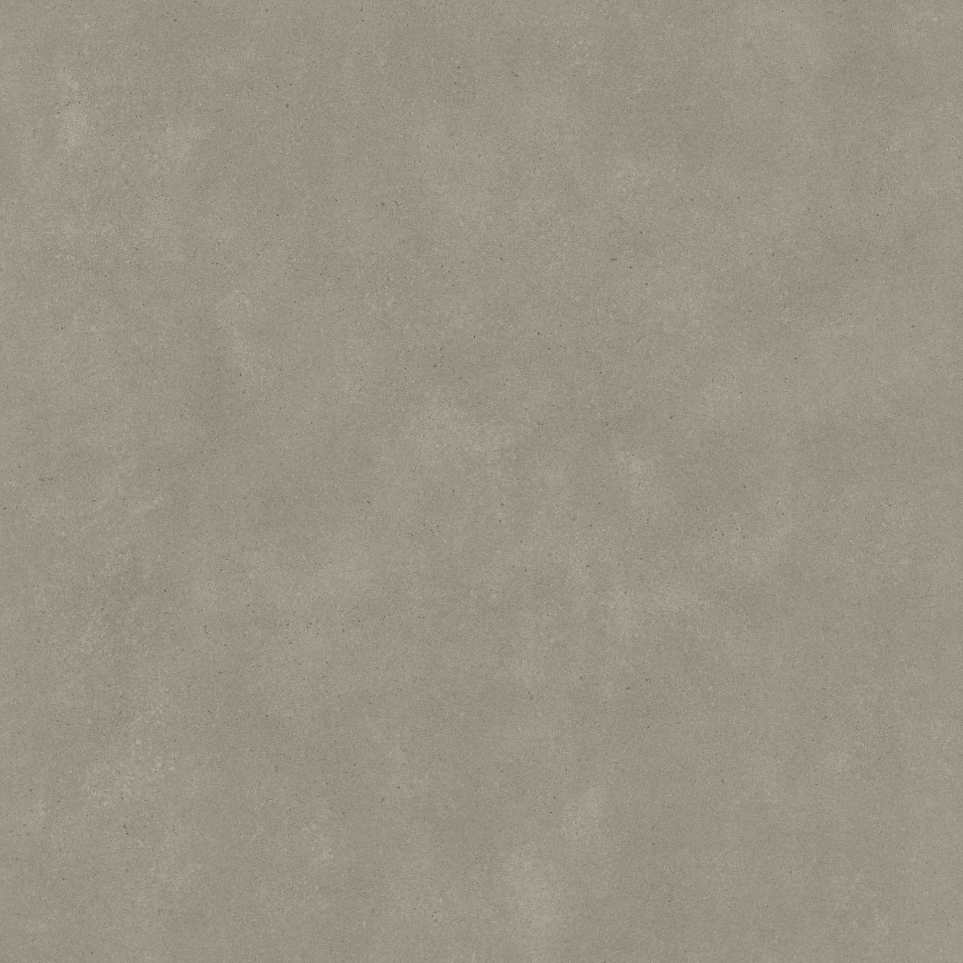 Omni Iron