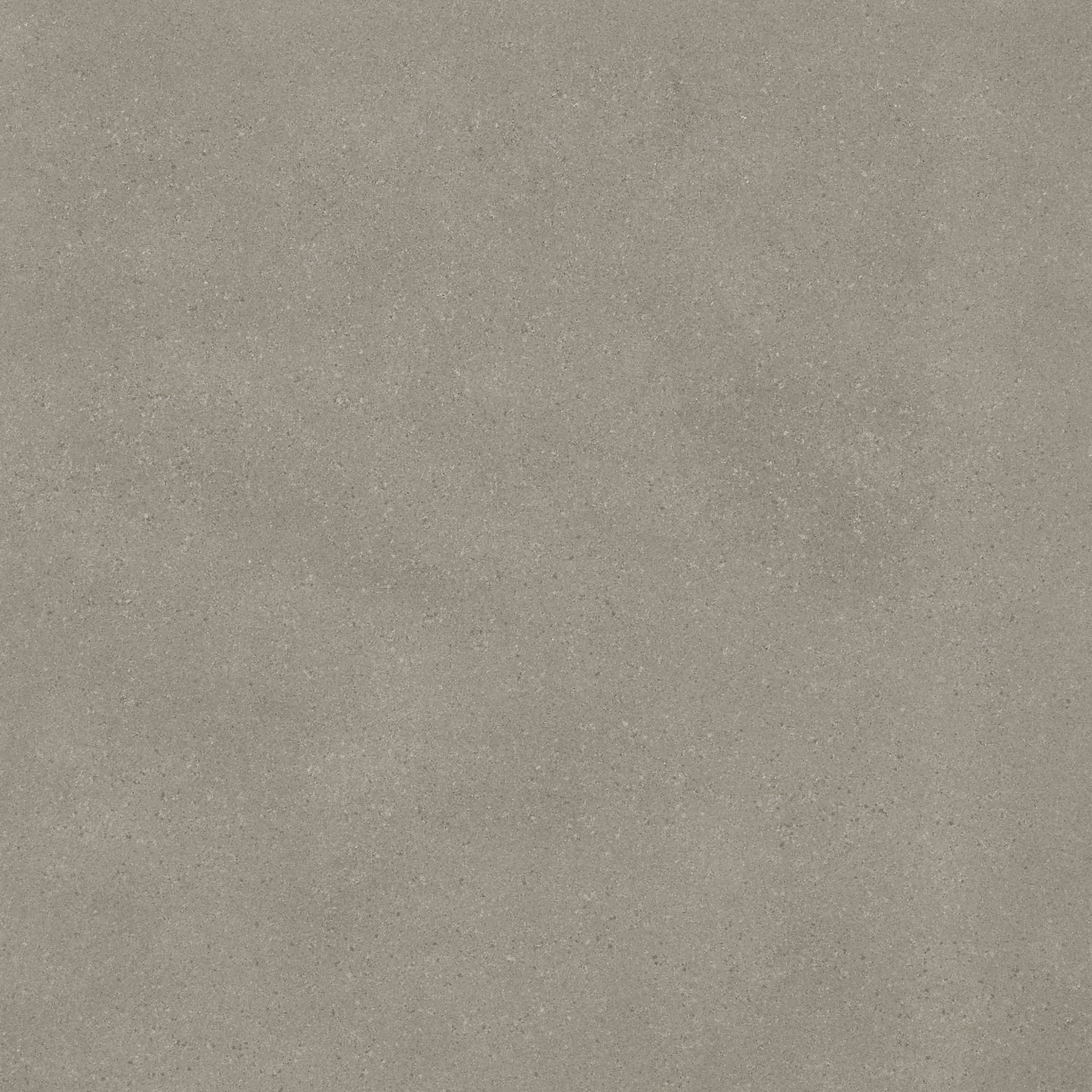 Omni Iron