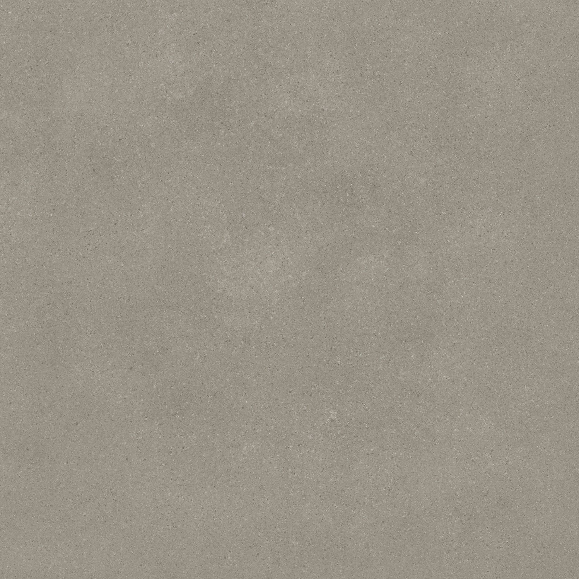 Omni Iron