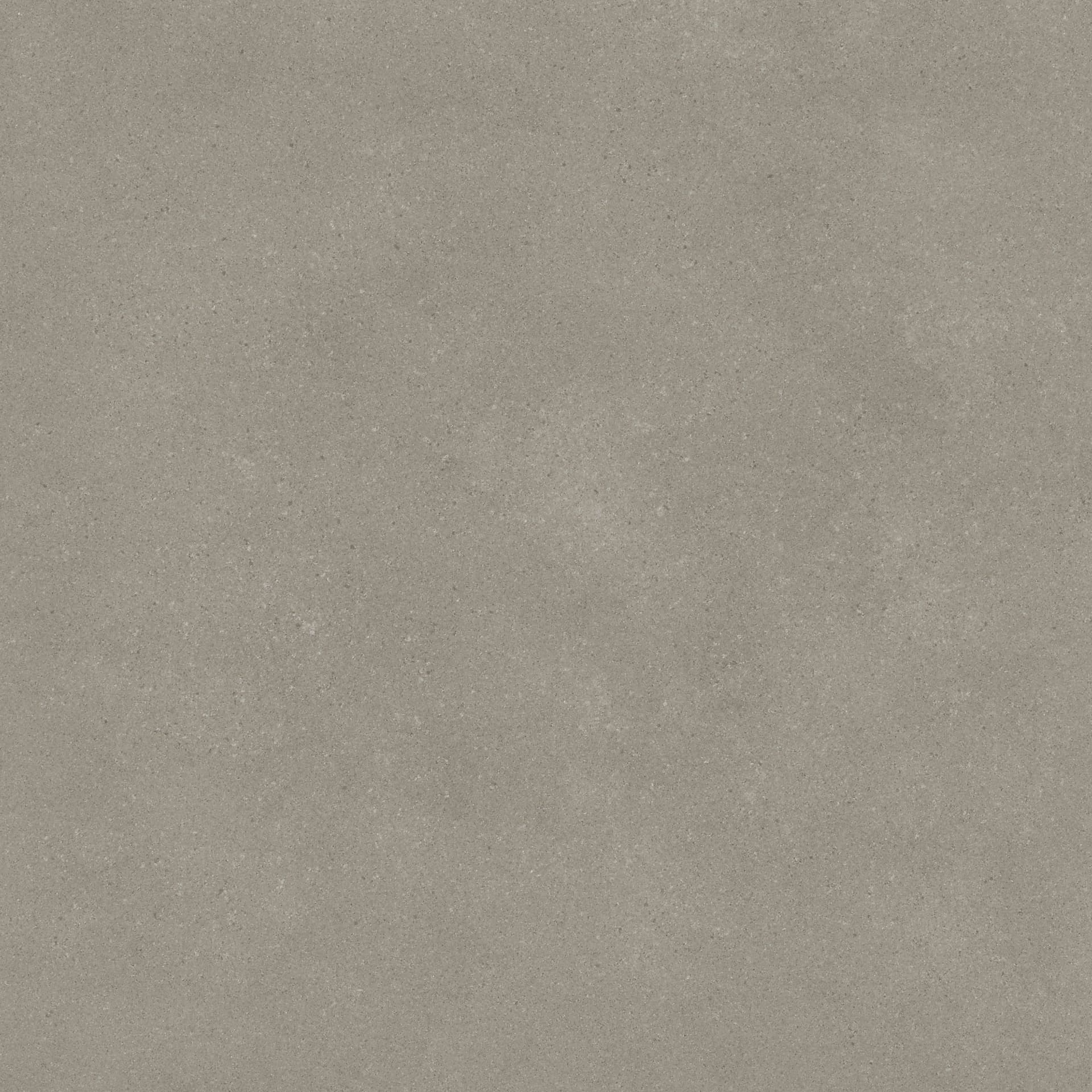 Omni Iron