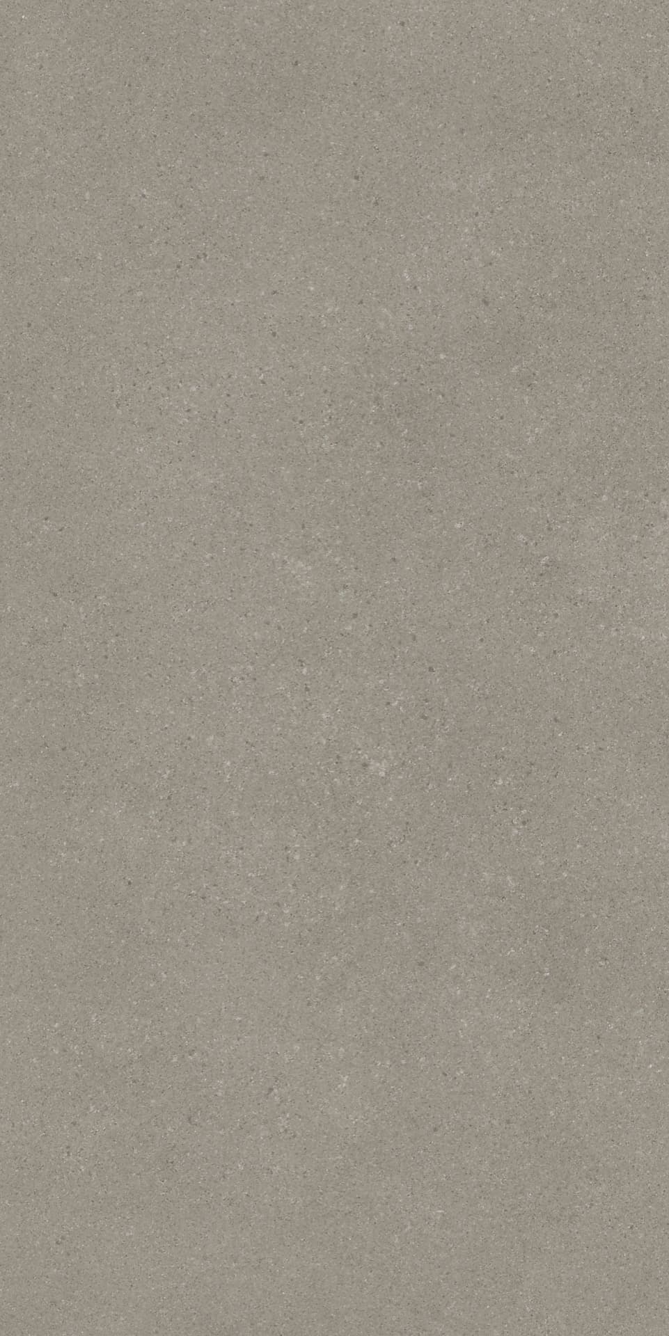 Omni Iron
