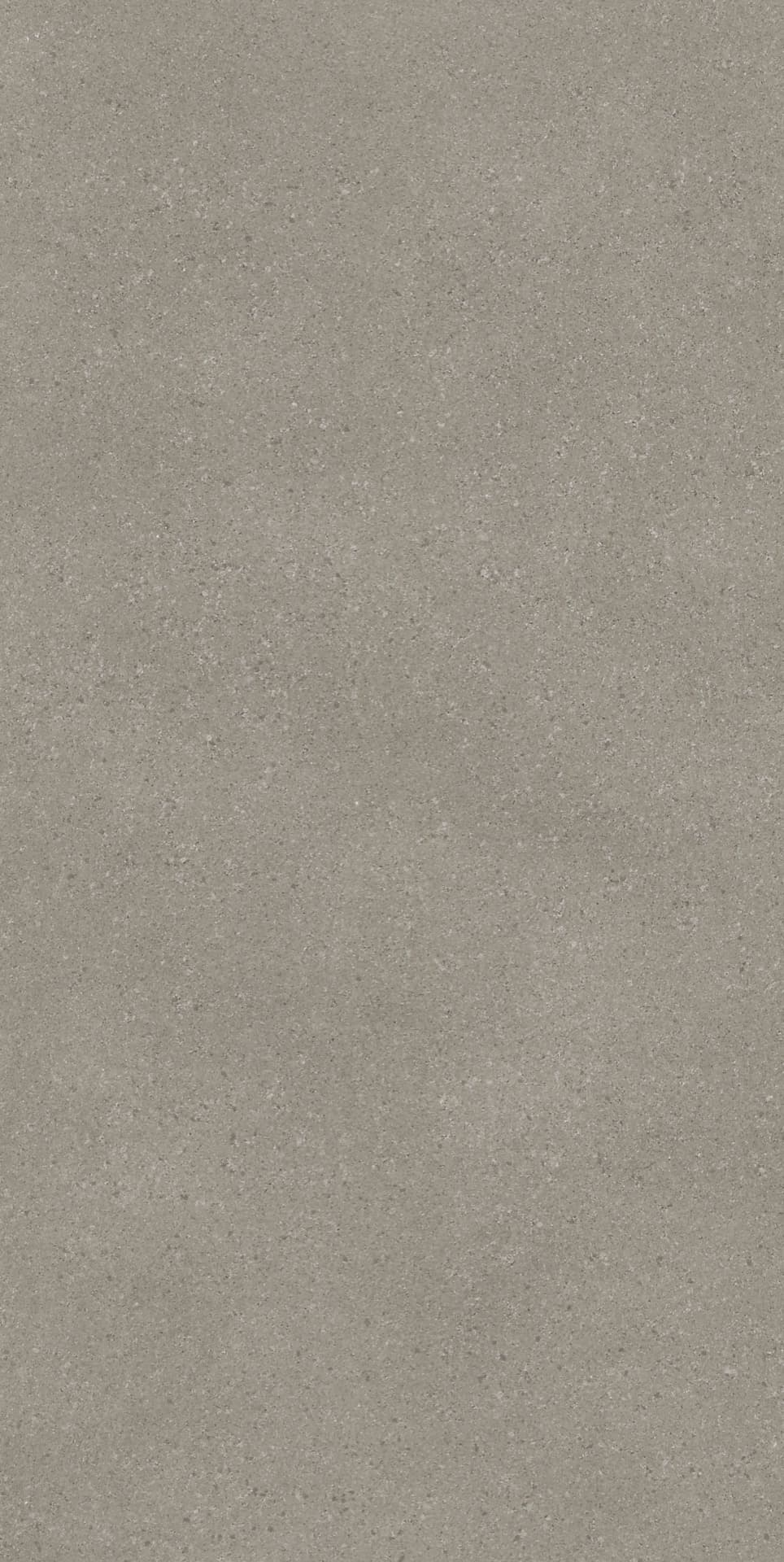 Omni Iron