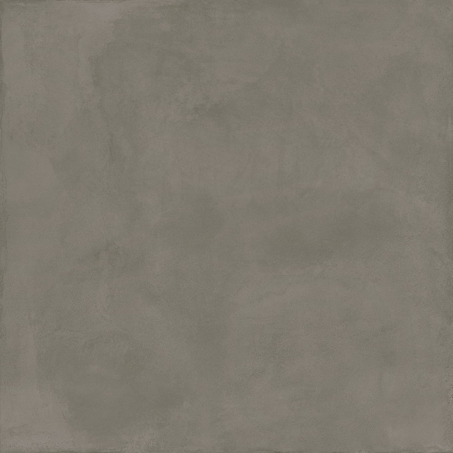 Locus Gris