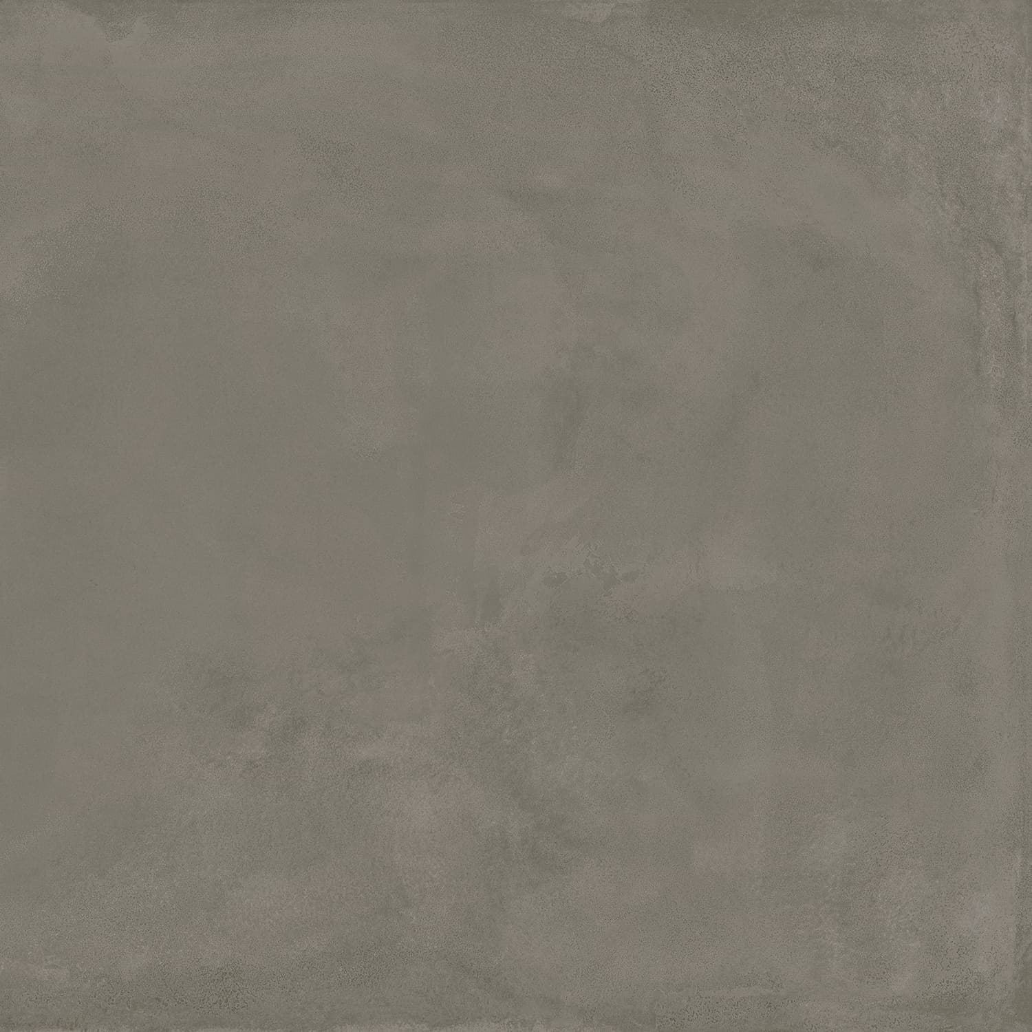 Locus Gris