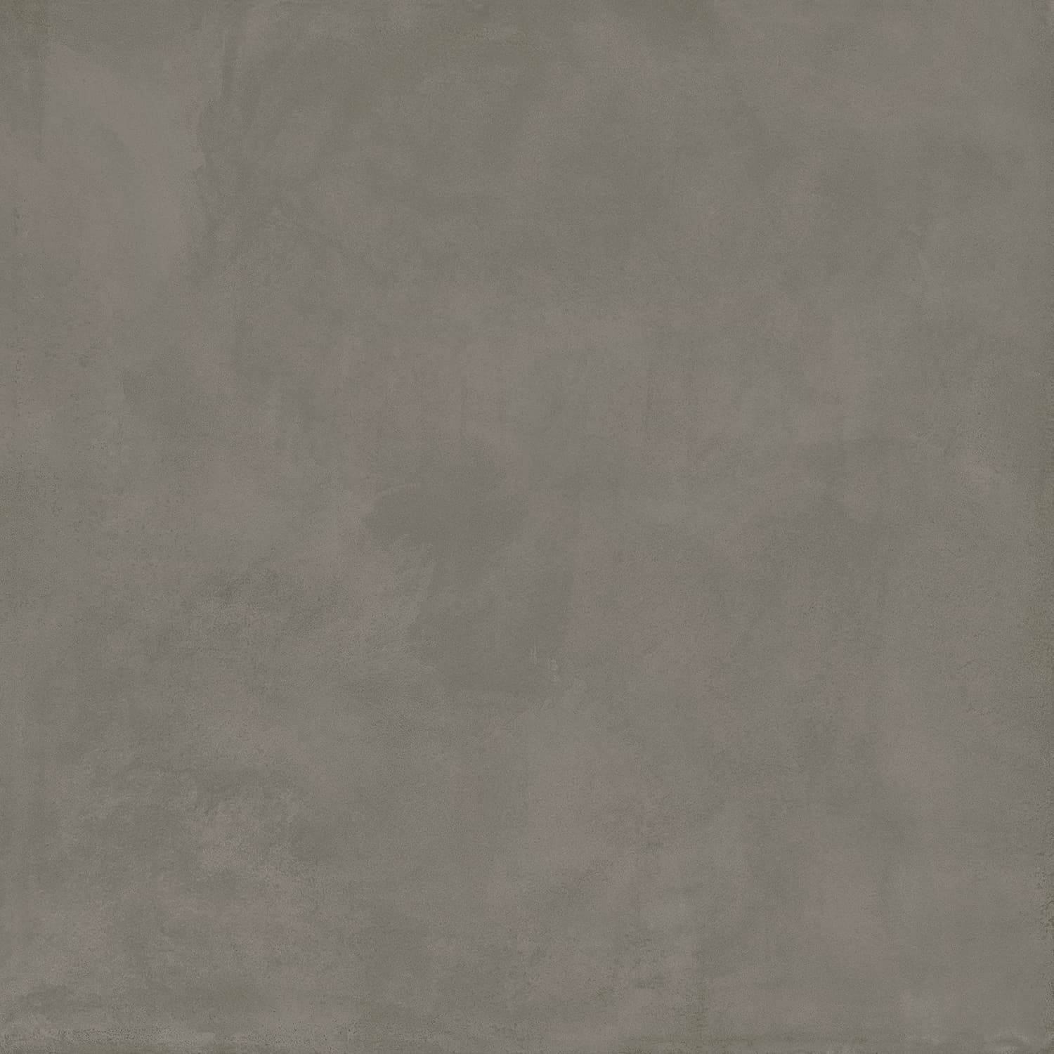 Locus Gris