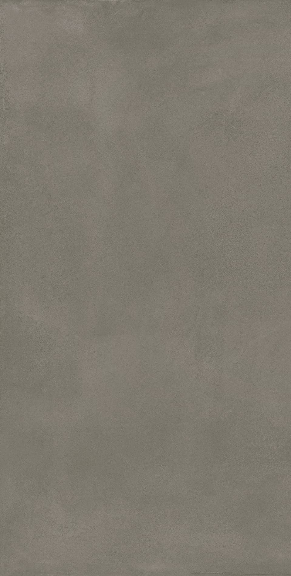 Locus Gris