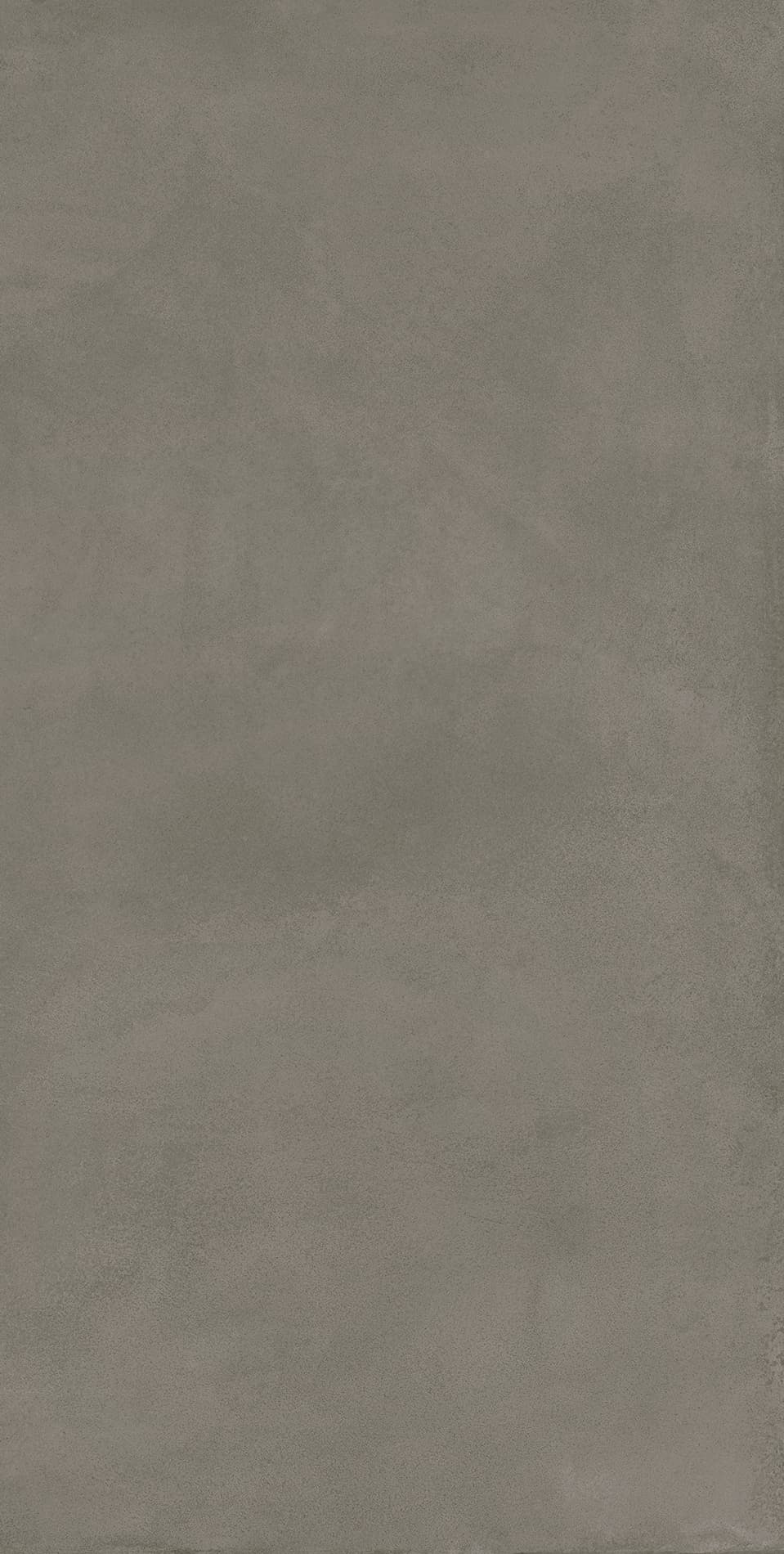 Locus Gris