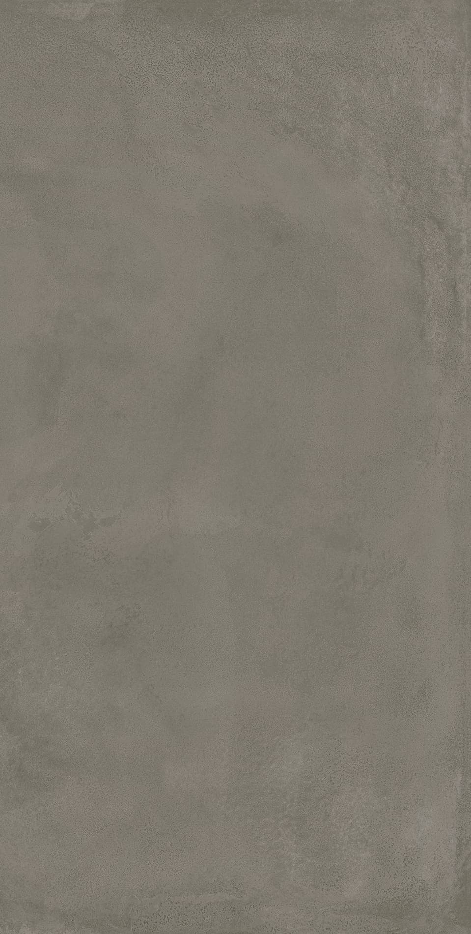 Locus Gris