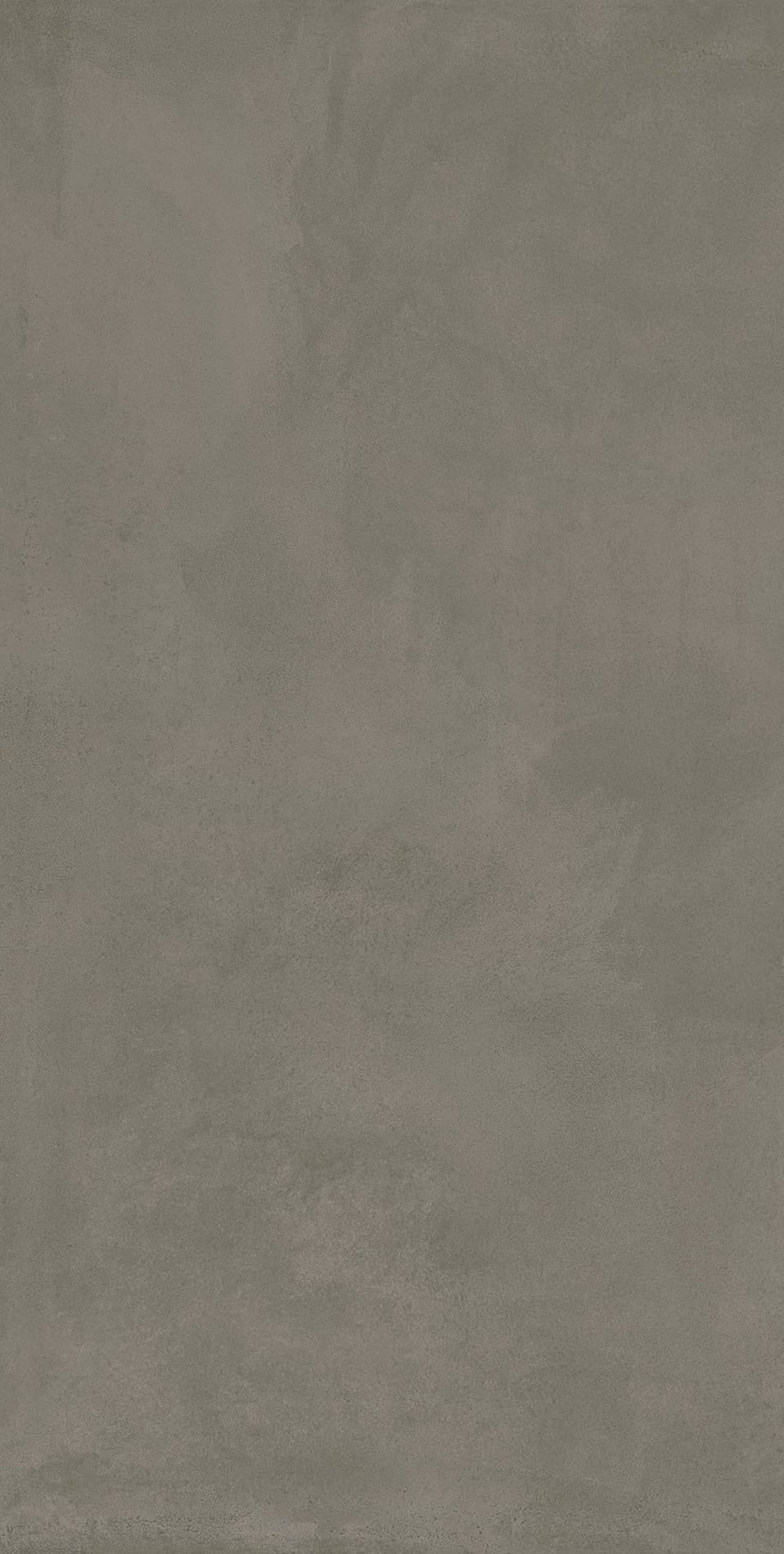 Locus Gris