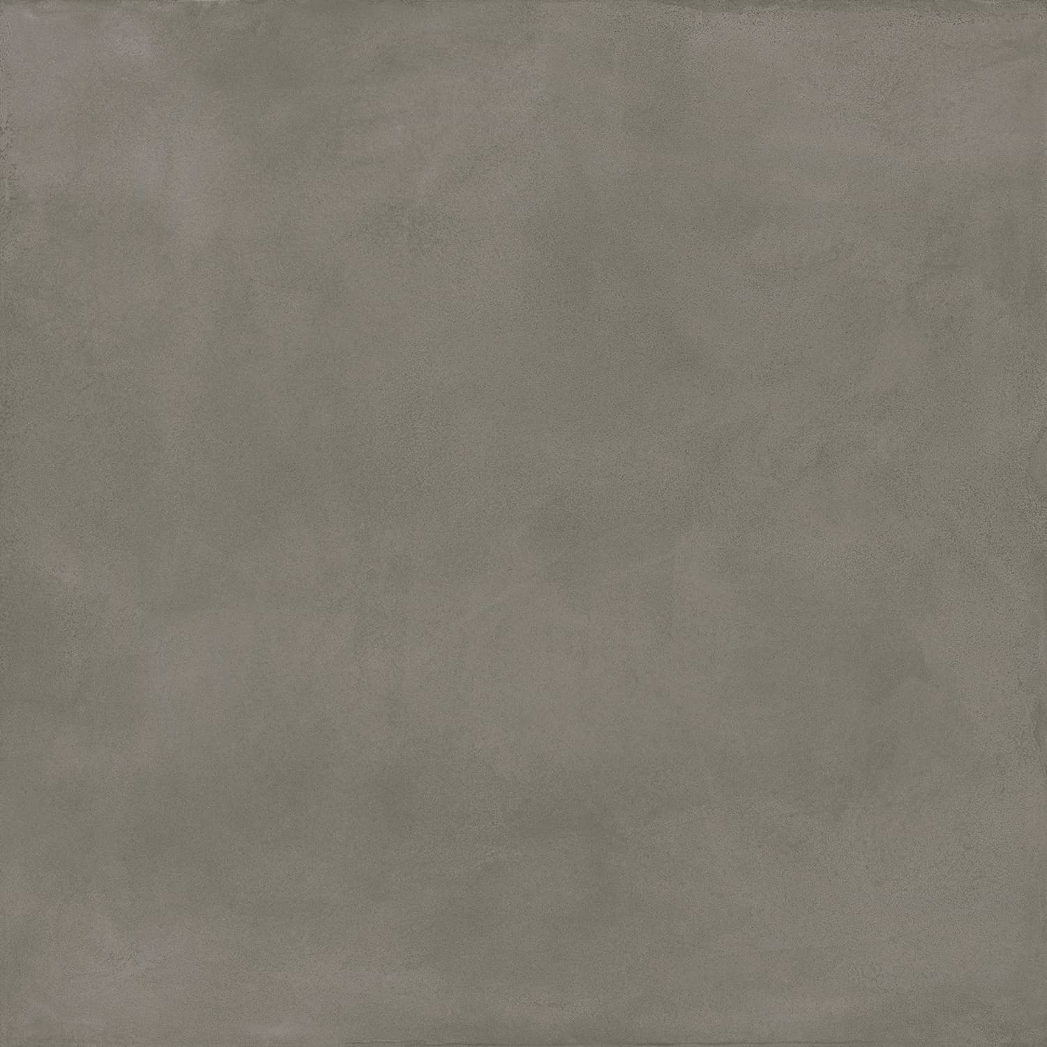 Locus Gris